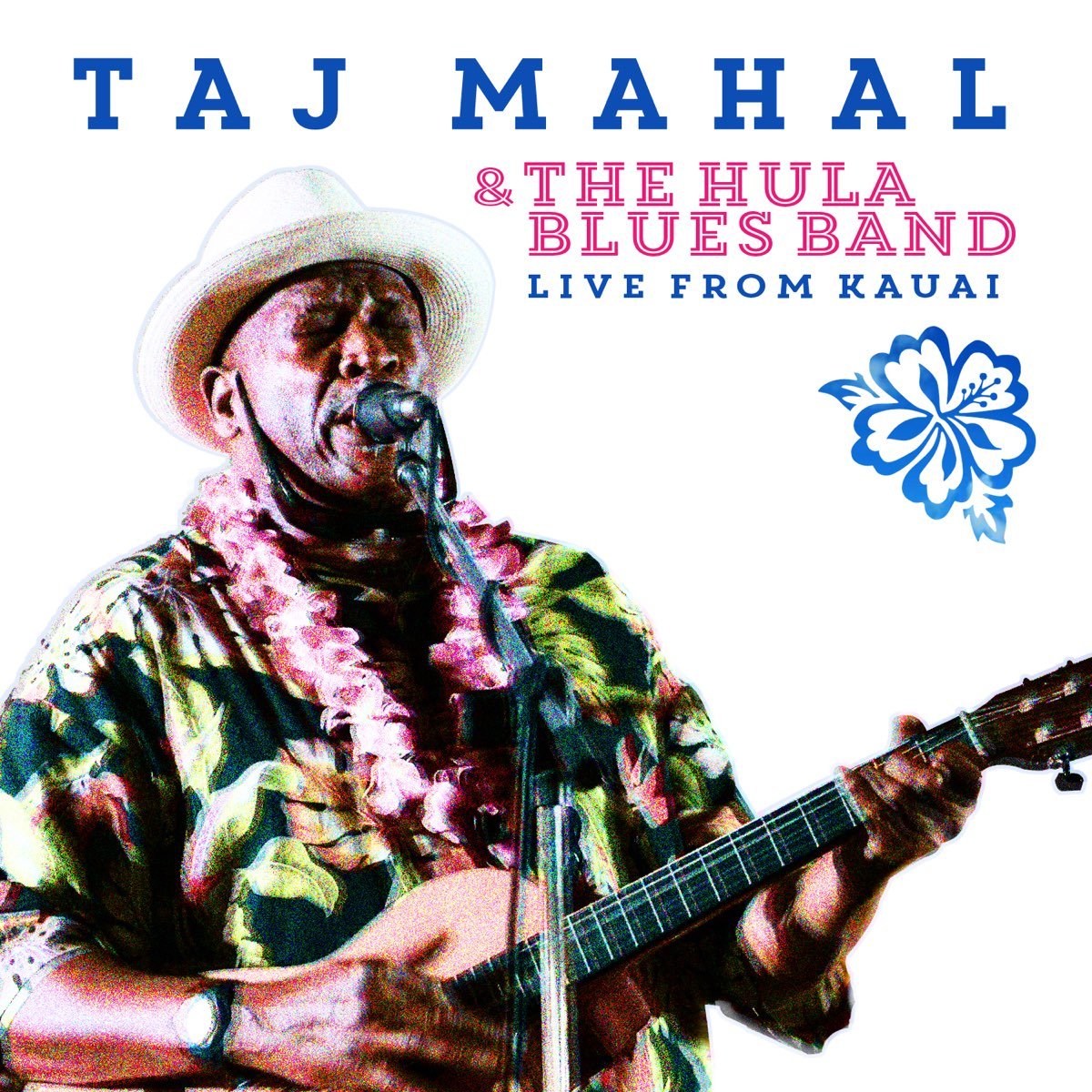 Taj Mahal Blues Folk Art Concert Poster 12x18 