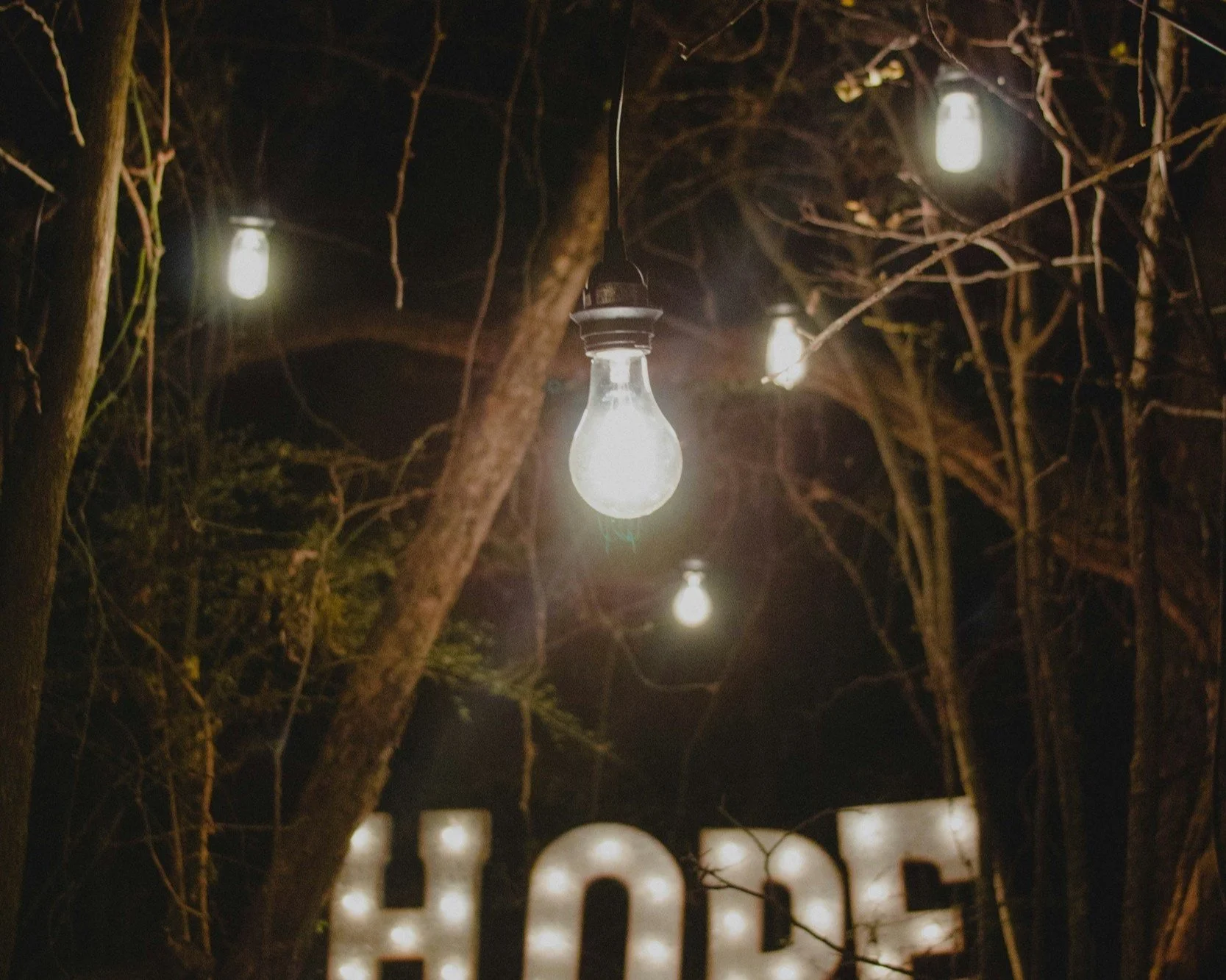 Illuminated light bulbs hanging in a forest at night with a large "HOPE" sign in the background.