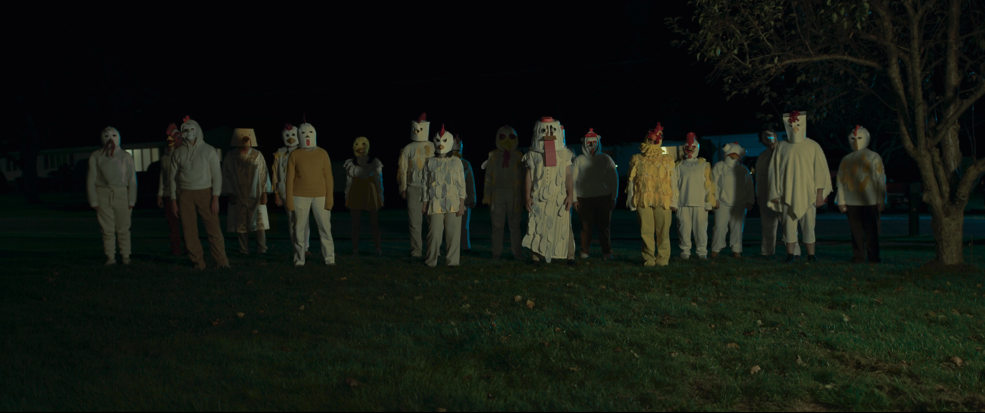 Screenshot 2026-02-12 at 12.47.35 PM.png