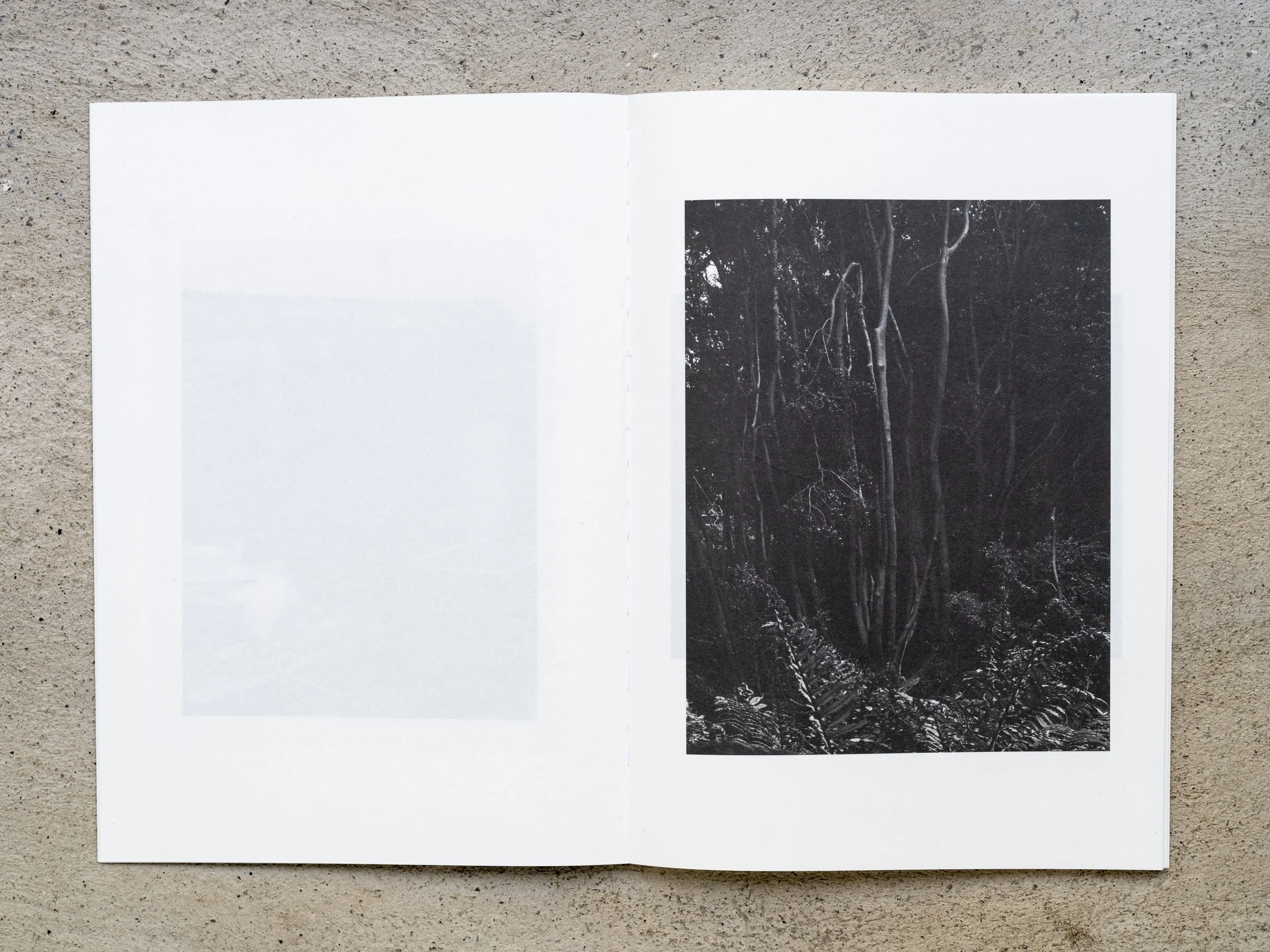 Deconstructing a Mountain 06.jpg