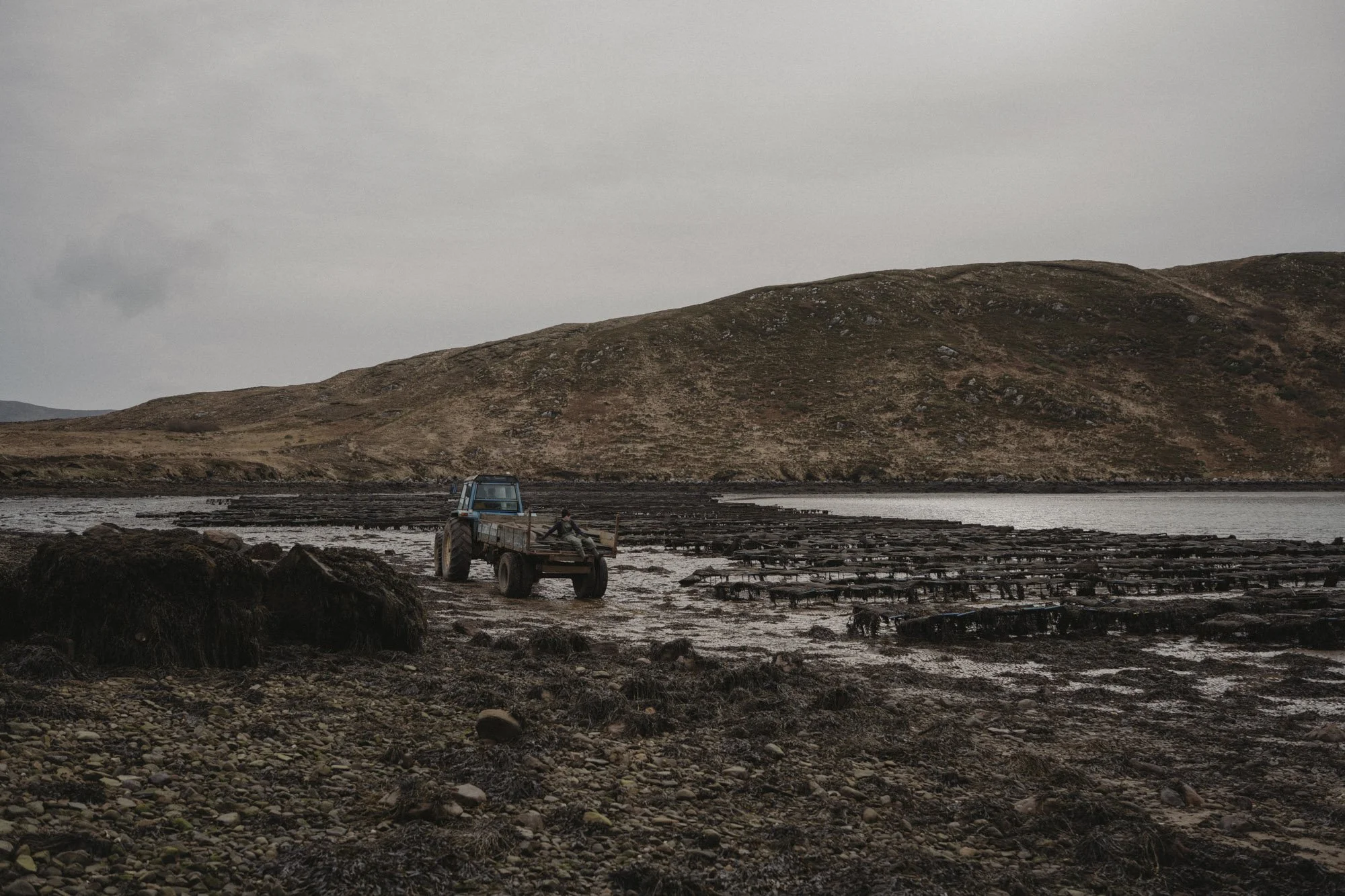 Eightyfouragency 01.jpg