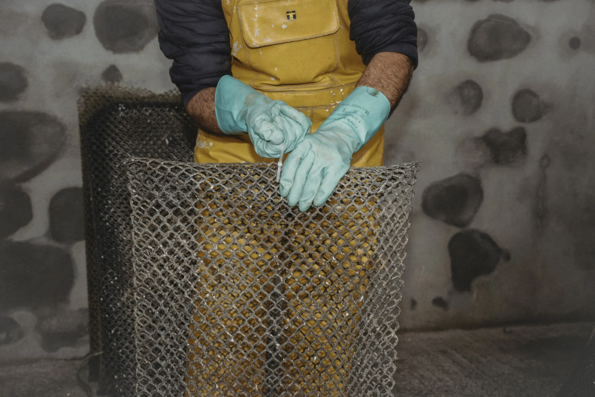 Eightyfouragency 42.jpg