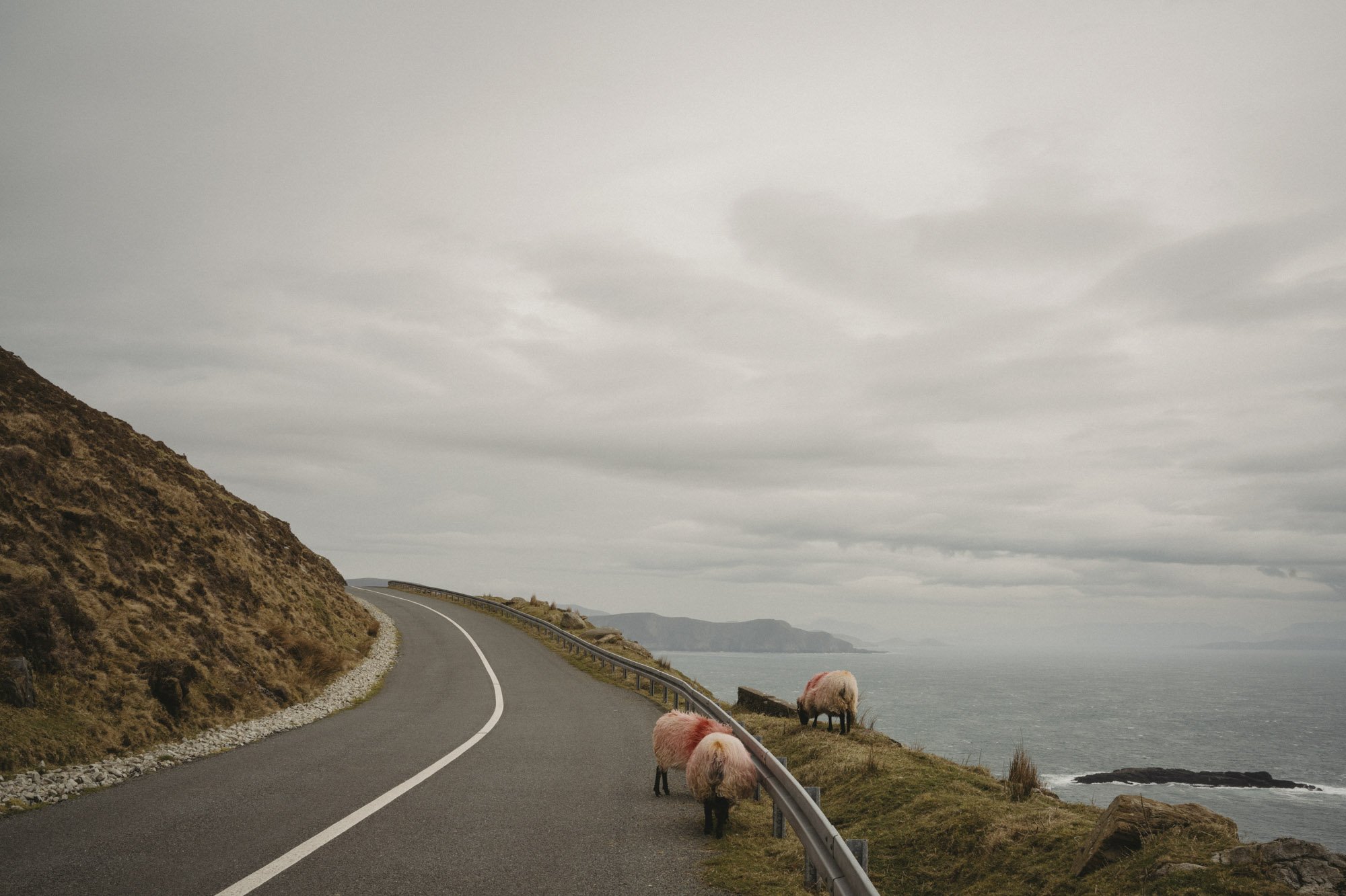 Eightyfouragency 14.jpg