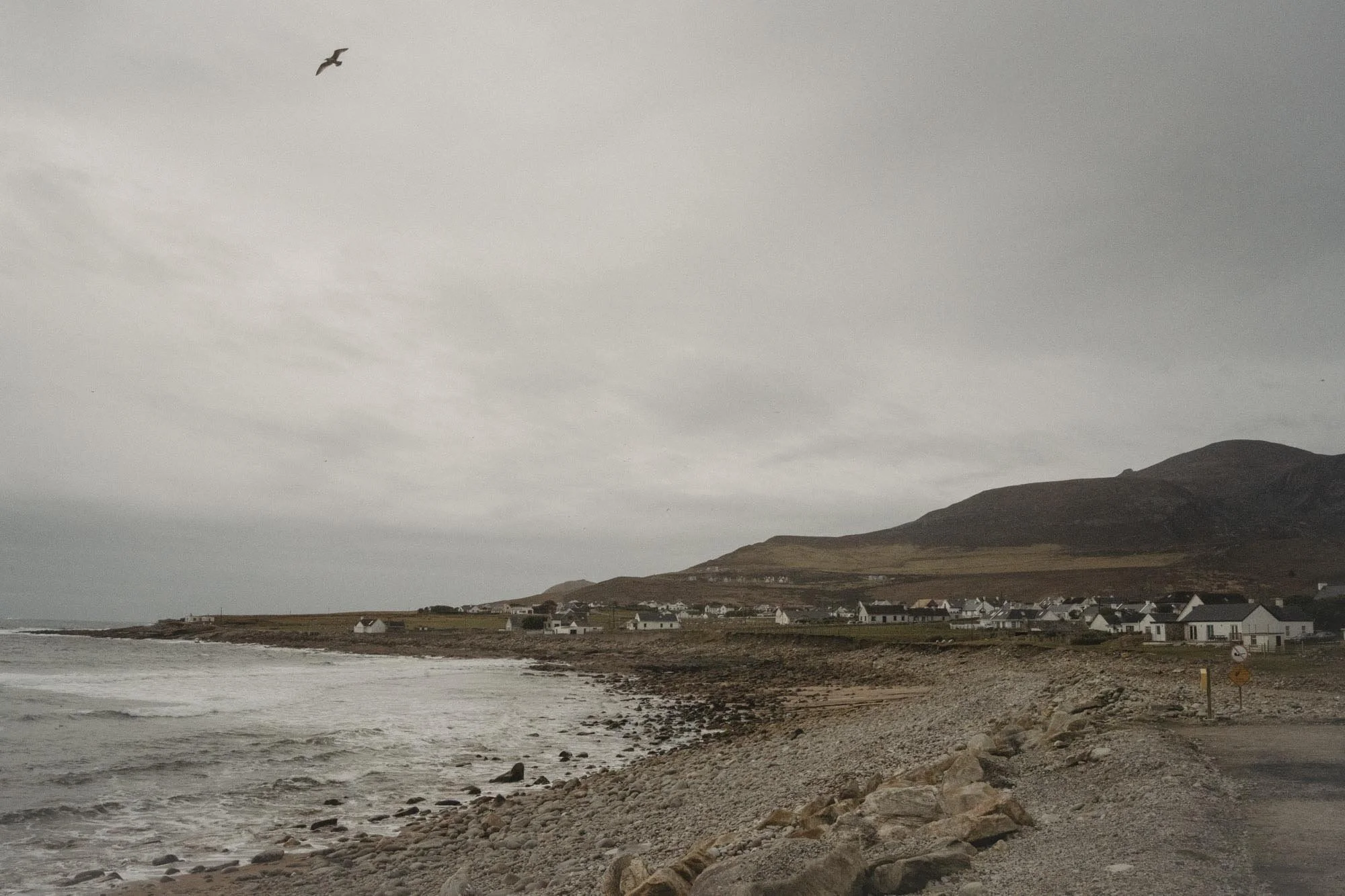 Eightyfouragency 18.jpg