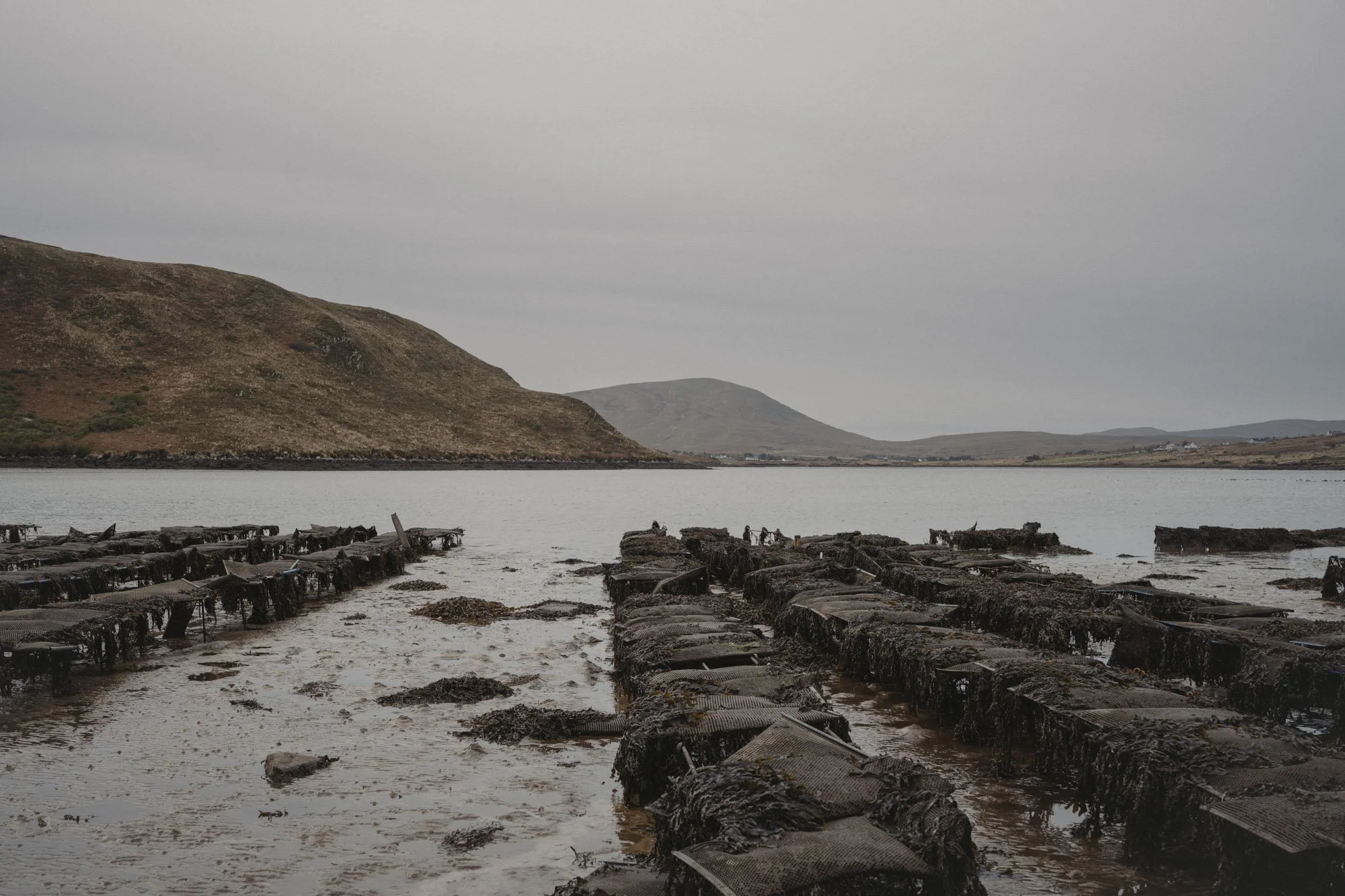 Eightyfouragency 08.jpg