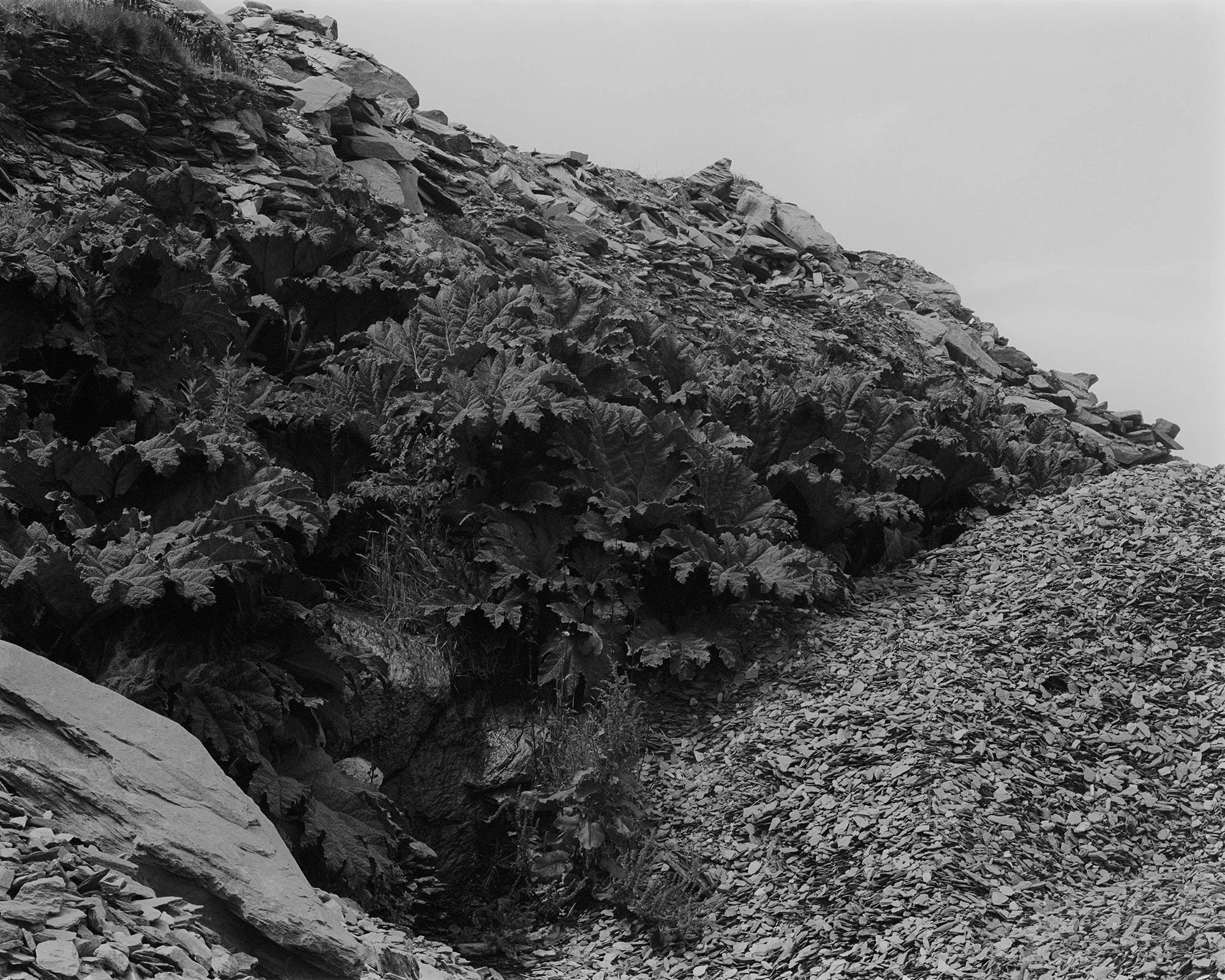 Geokaun Mountain Fionn McCann 003.jpg