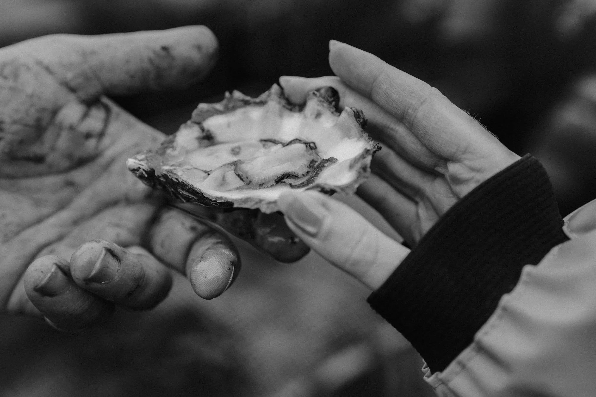 Eightyfouragency 12.jpg