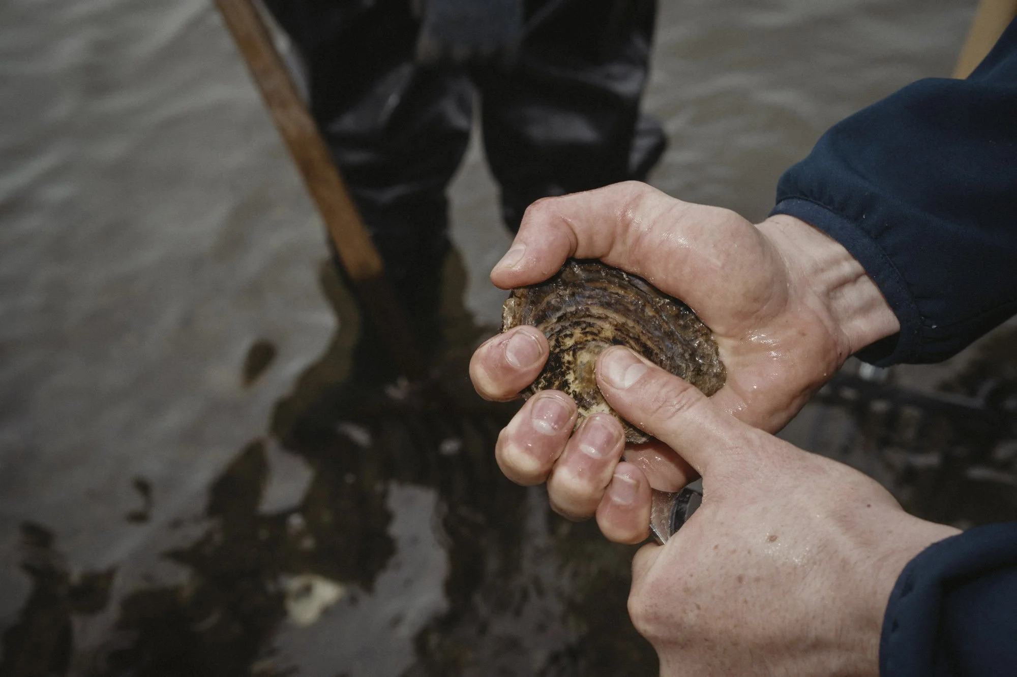 Eightyfouragency 33.jpg