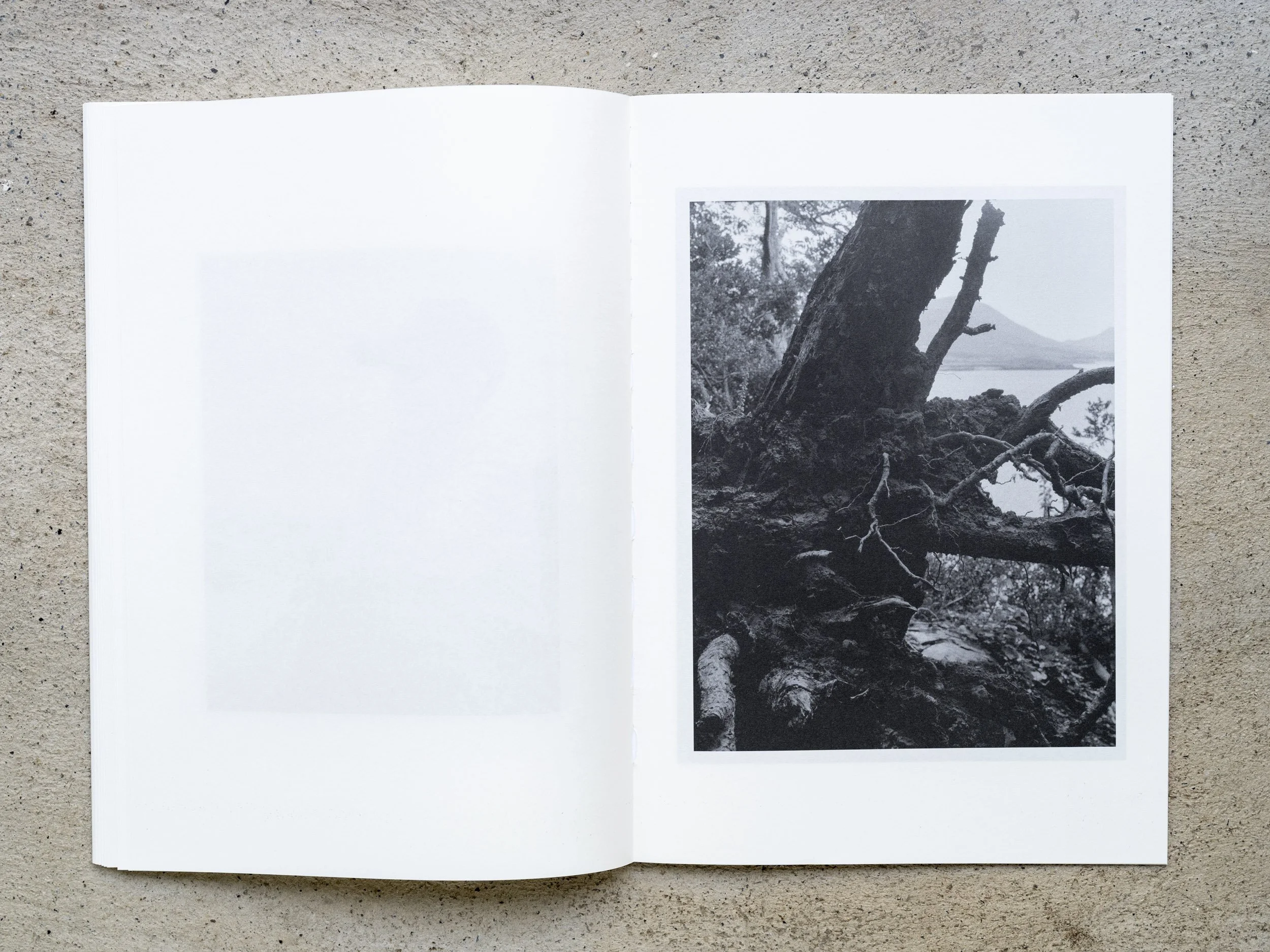Deconstructing a Mountain 37.jpg