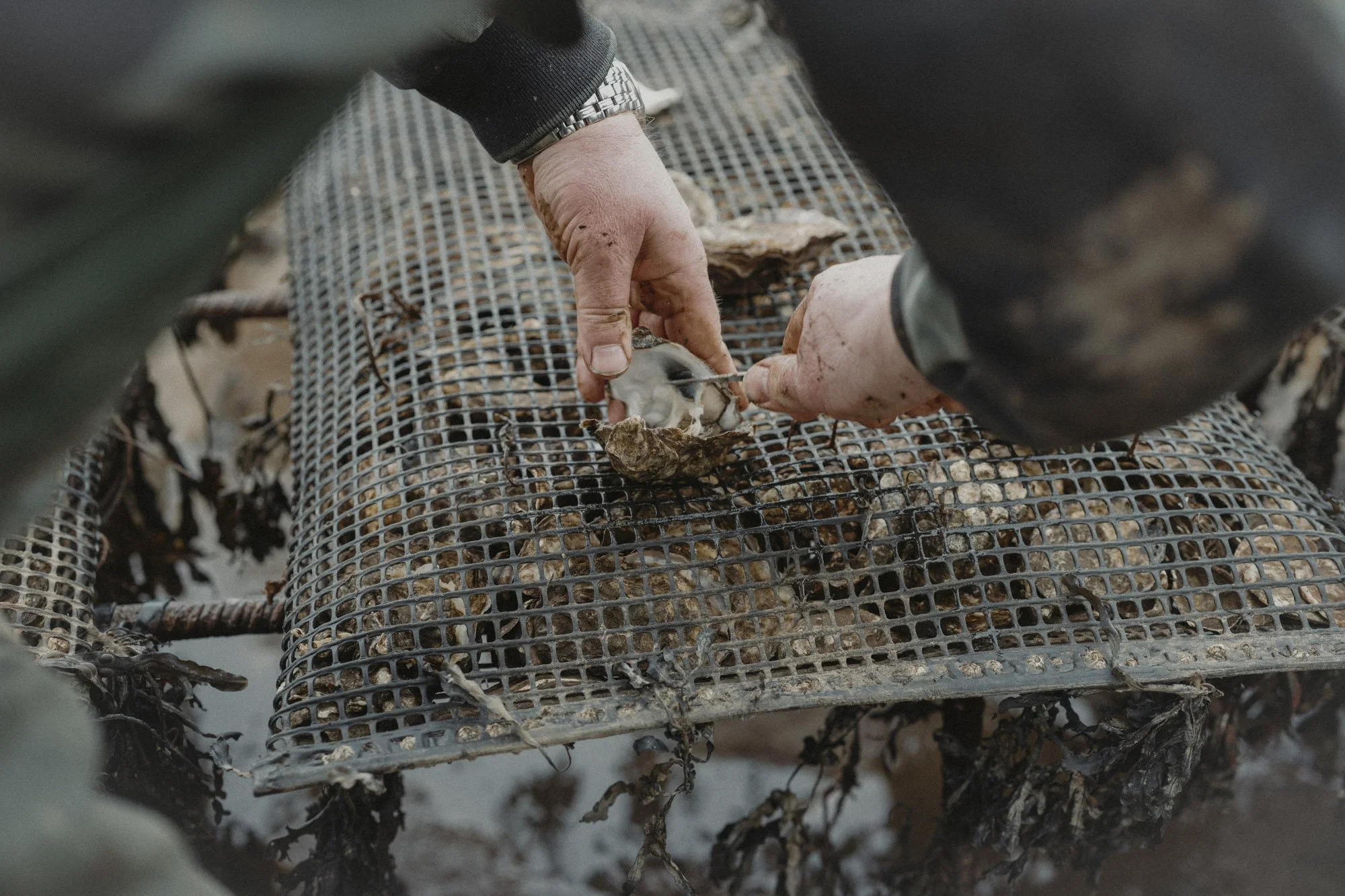 Eightyfouragency 11.jpg