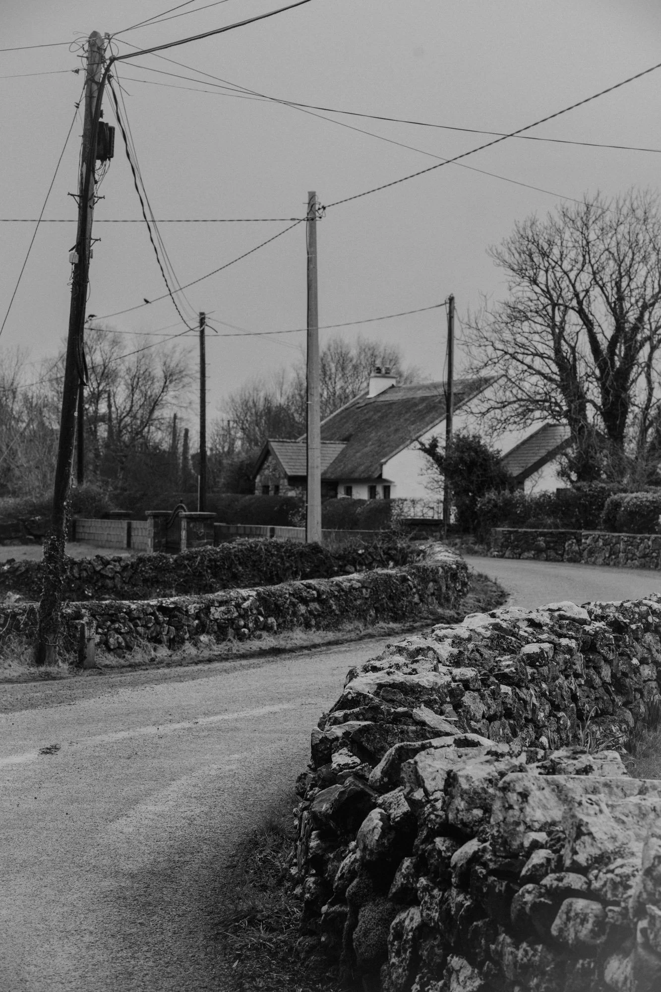 Eightyfouragency 25.jpg