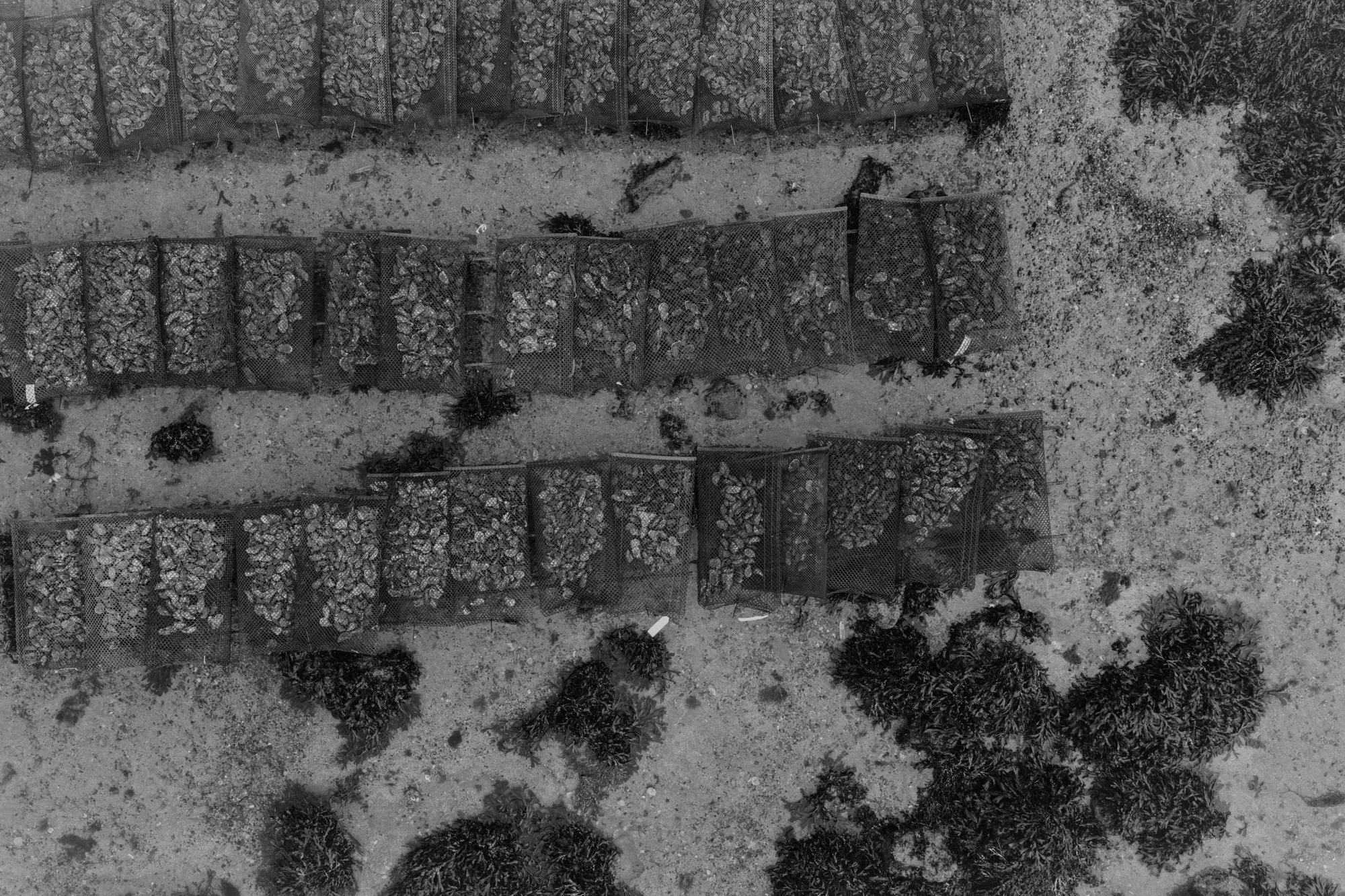 Eightyfouragency 27.jpg