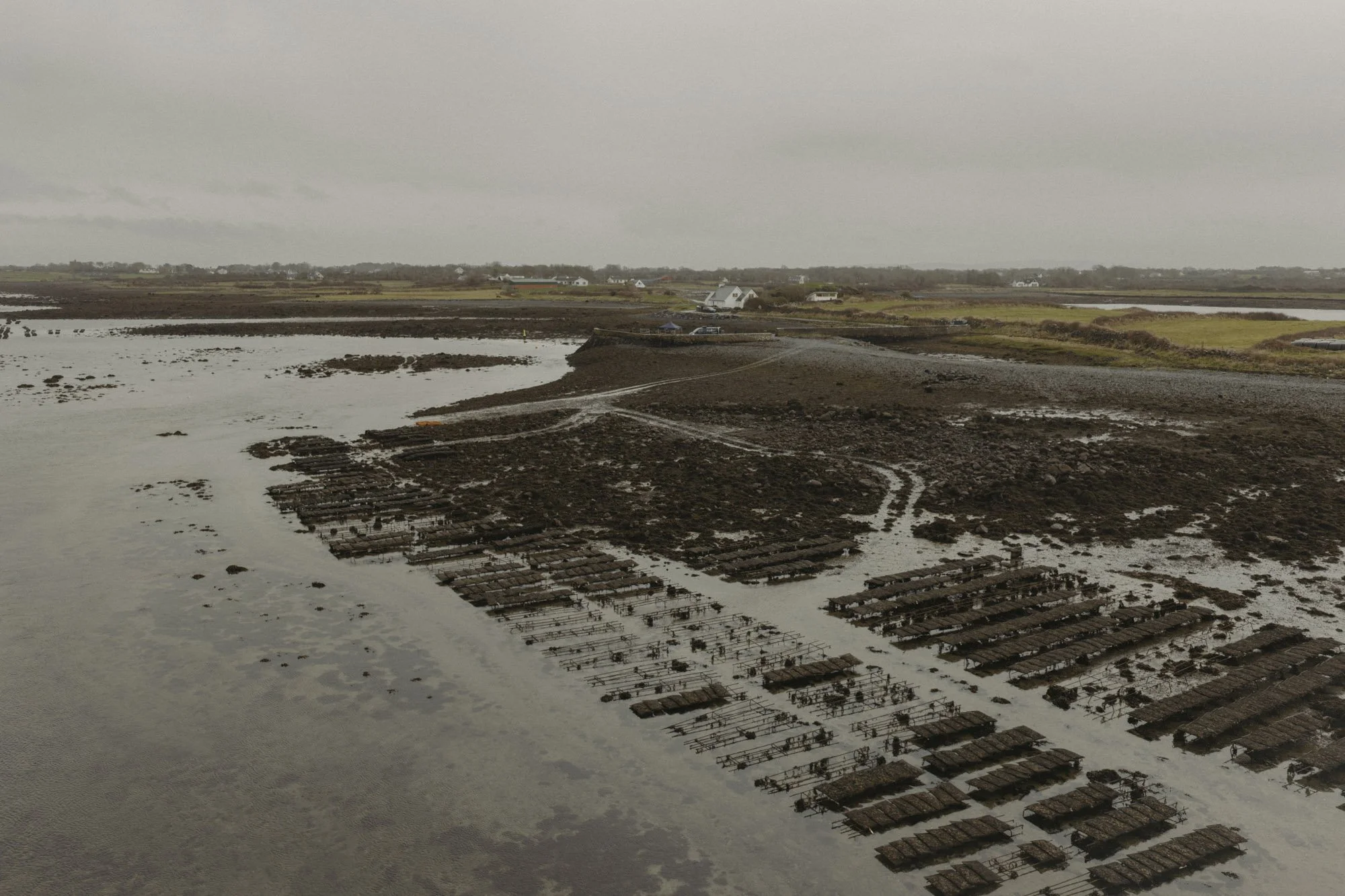 Eightyfouragency 26.jpg