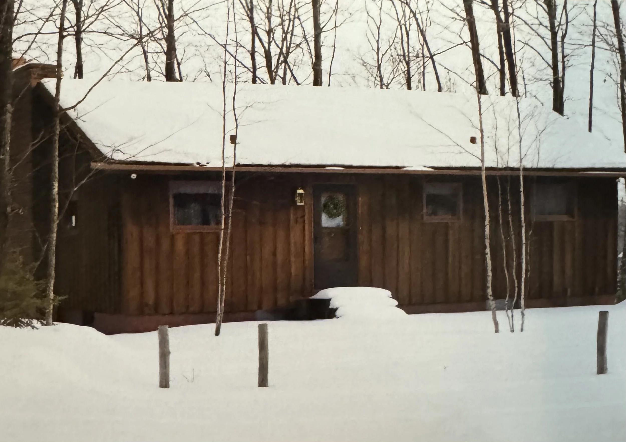 Wooden cabin in snow-covered landscape with leafless trees surrounding it.