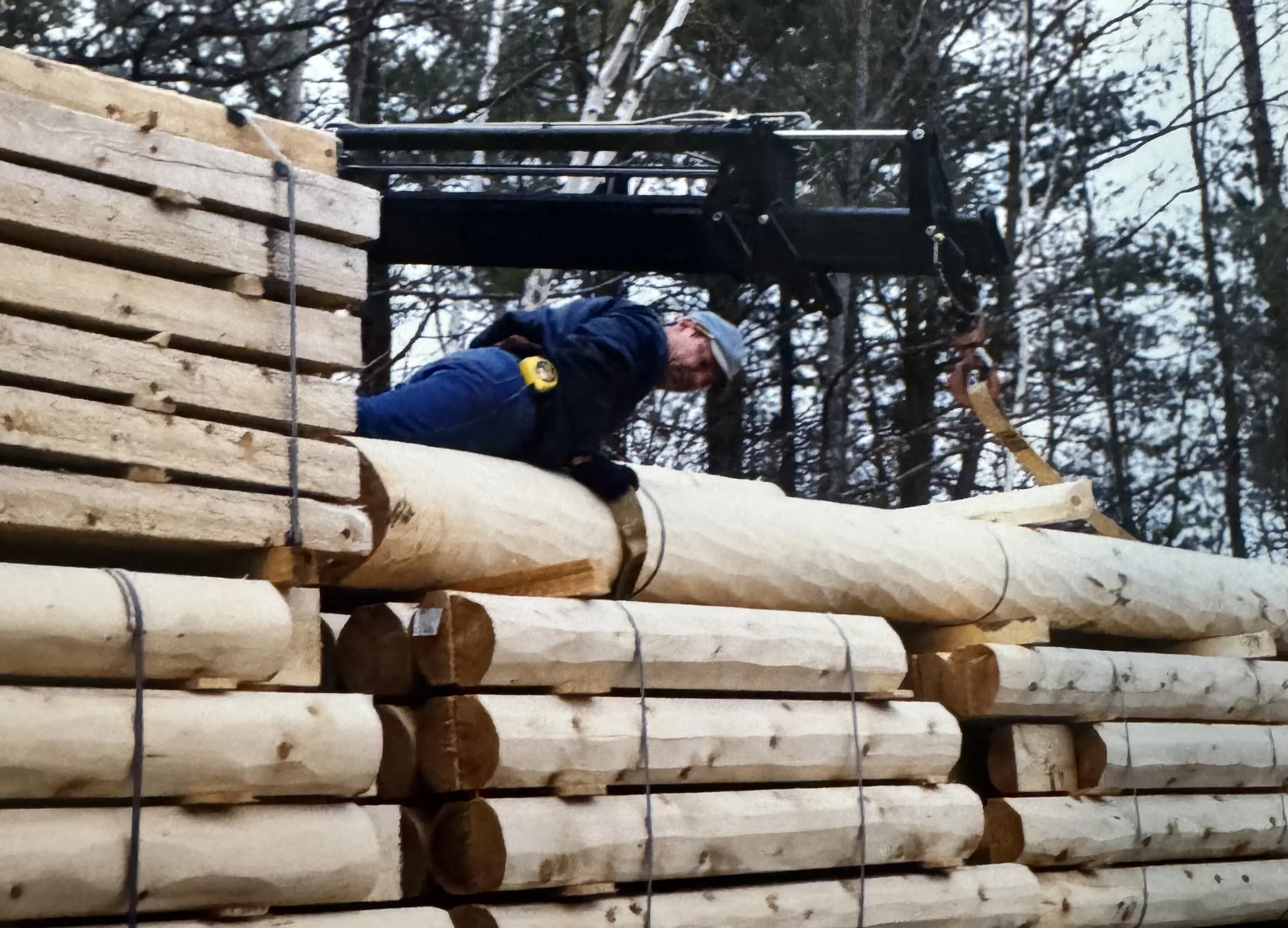 A man in a blue jacket and cap working on constructing a wooden structure with large logs in an outdoor, wooded area.