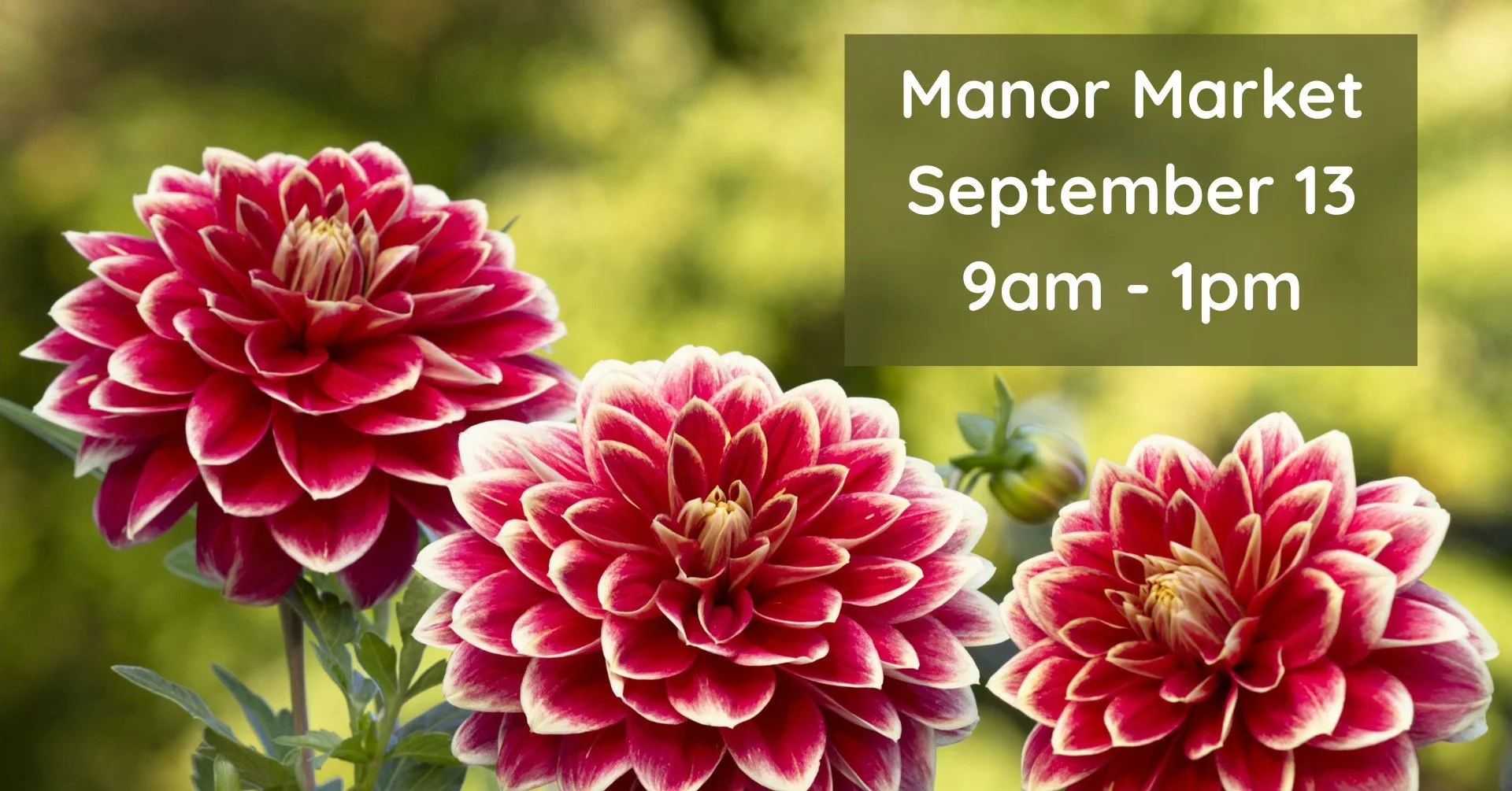 Manor Market