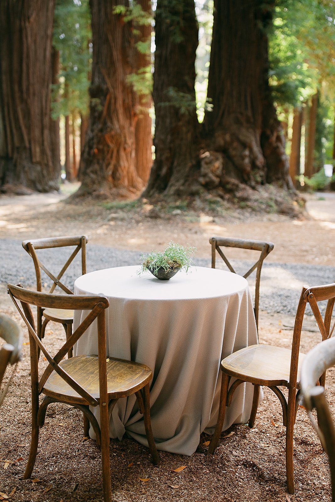 california-summer-wedding-anni-graham-photography (32).jpg