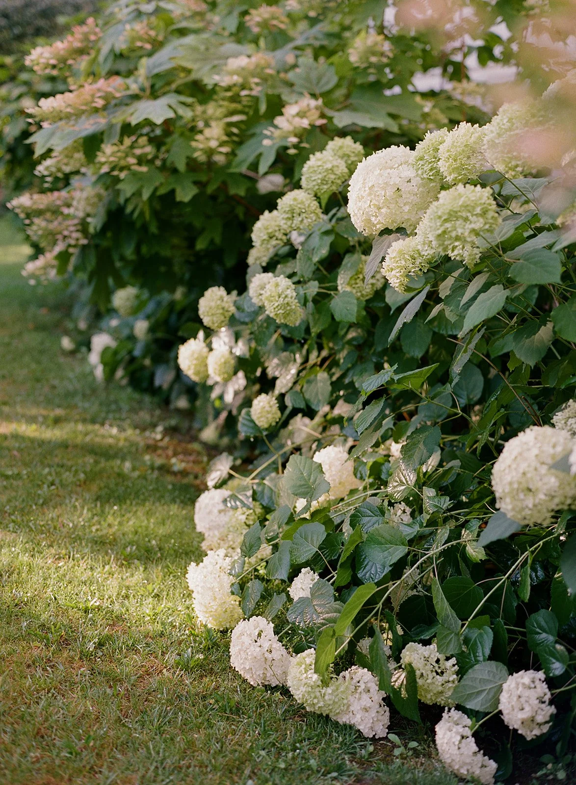 Anna_Thomas_Wedding_Anni_Graham-5_websize-2.jpg