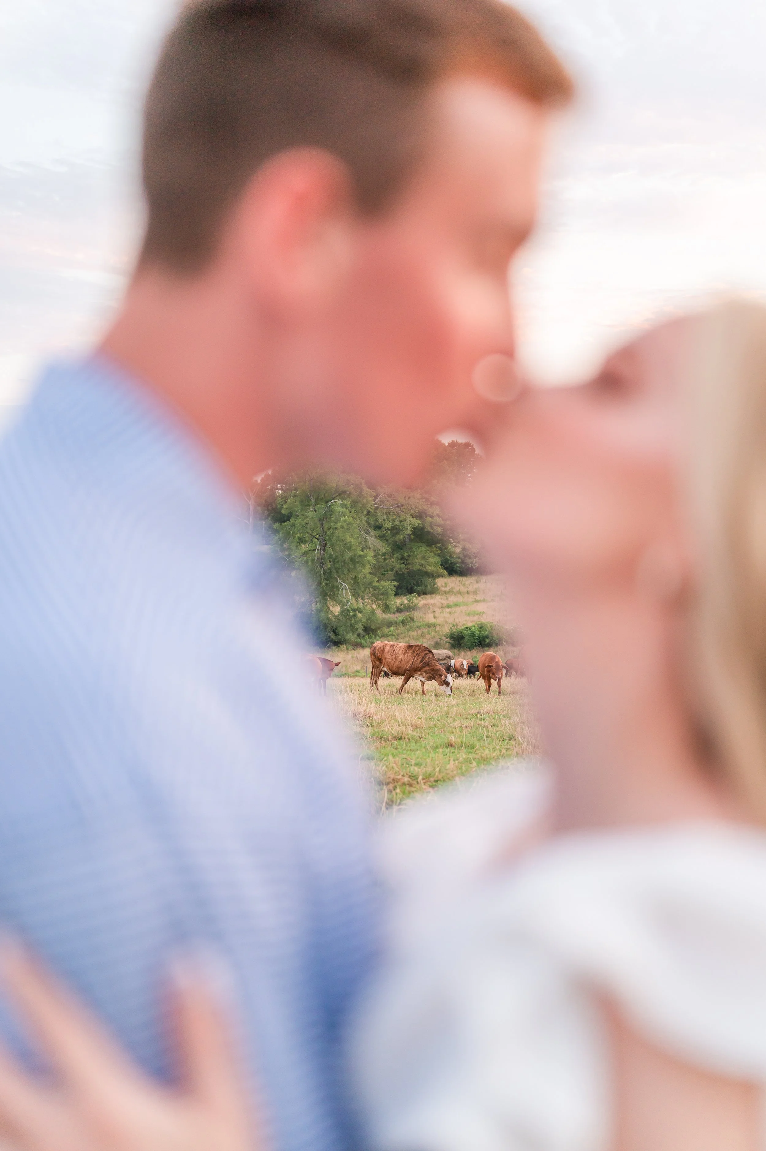 White_Magnolia_Engagement92.jpg