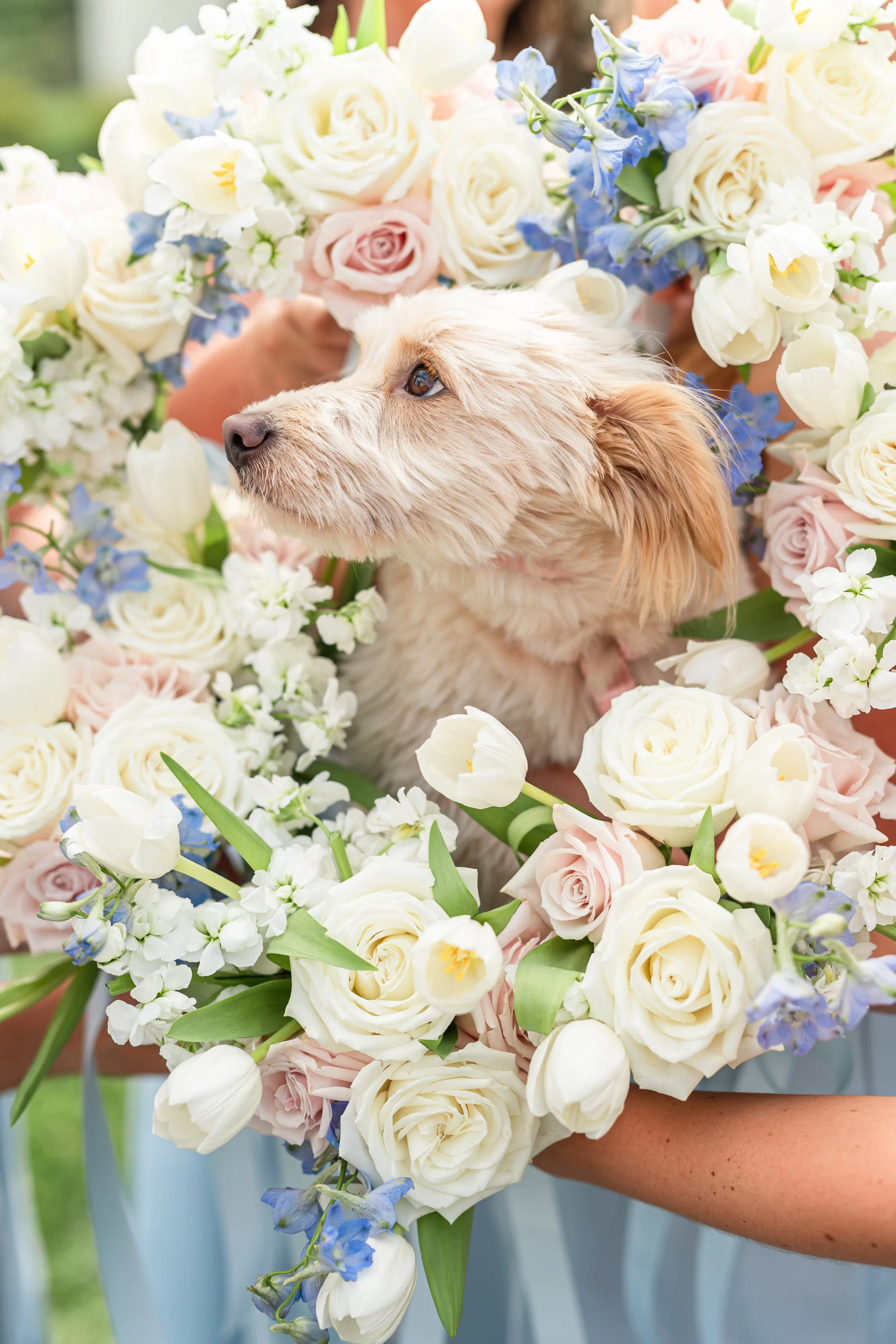 White_Magnolia_Wedding45.jpg