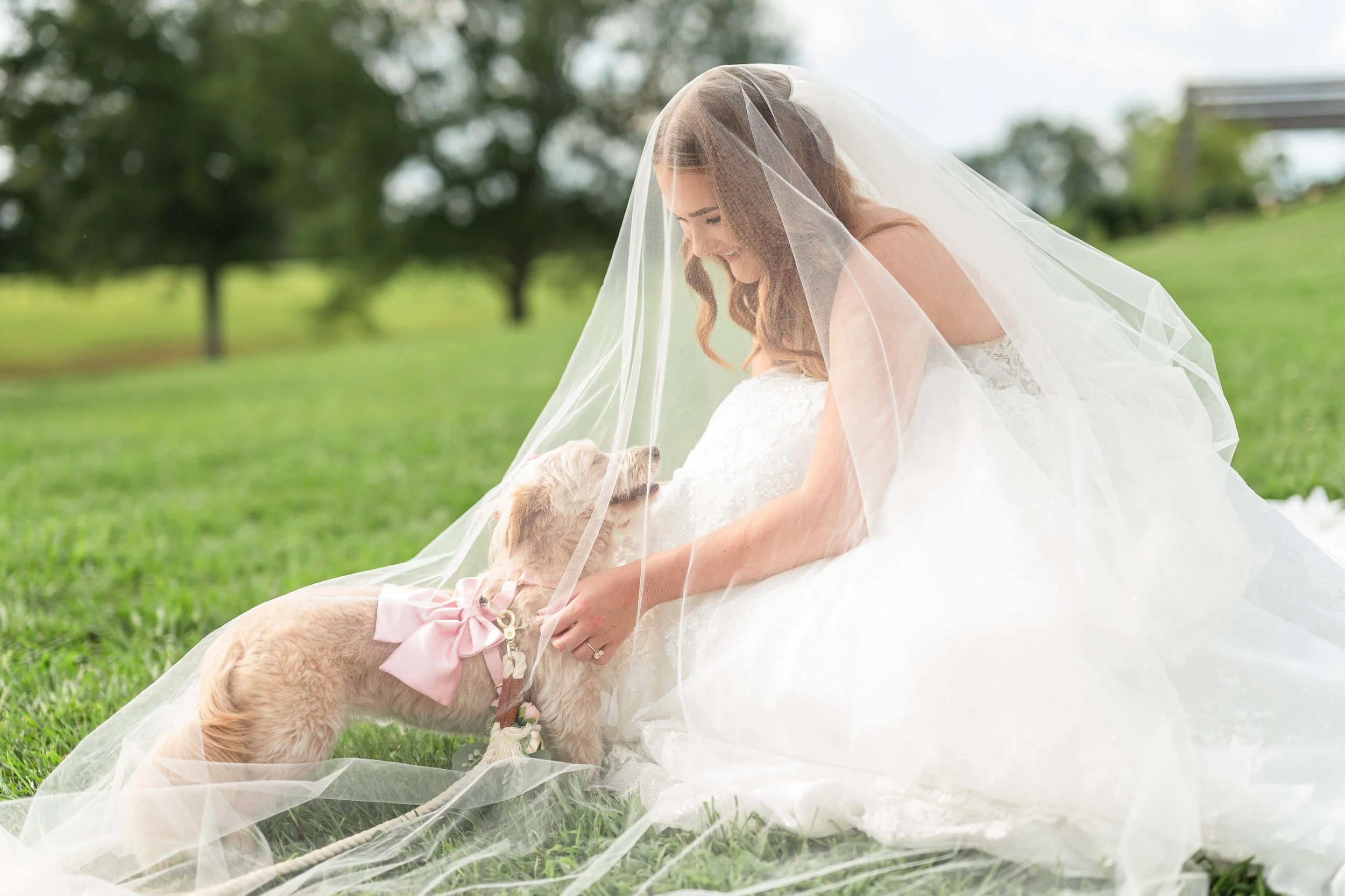 White_Magnolia_Wedding46.jpg