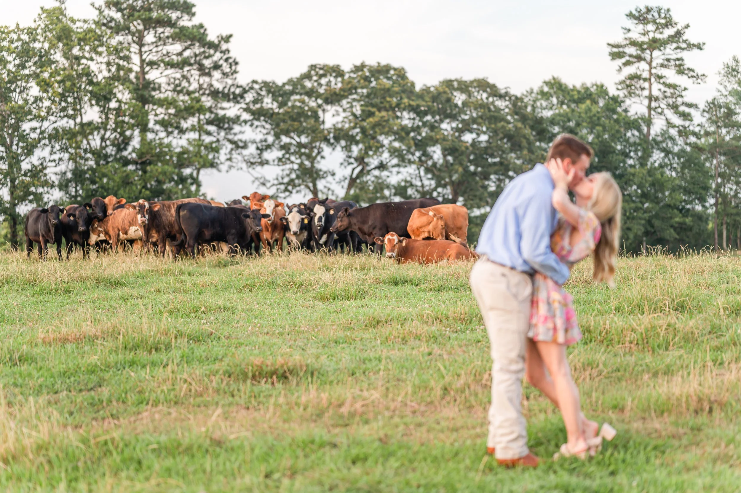White_Magnolia_Engagement45.jpg