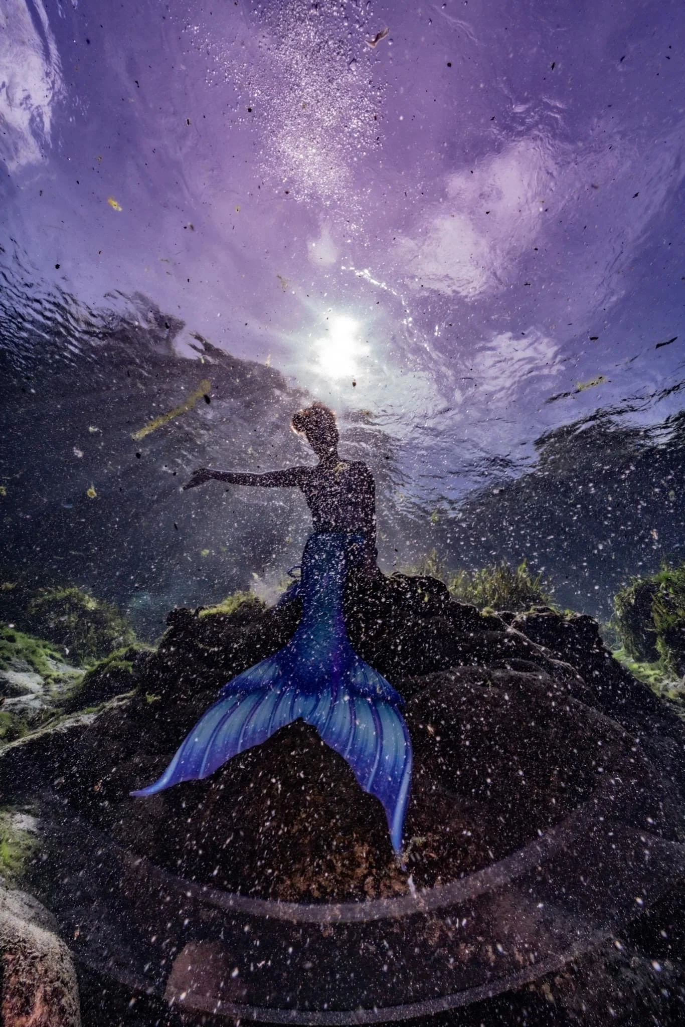 A figure with short hair and a mermaid tail sits on a rocky ledge while backlit by the sun underwater. They have a blue and purple mermaid tail and one arm extended to the left.