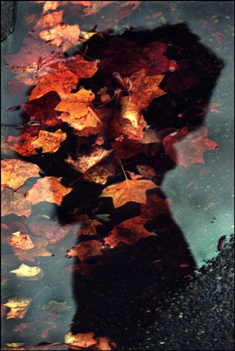 "Seattle Fall" ©Thomas James Hurst/The Seattle Times