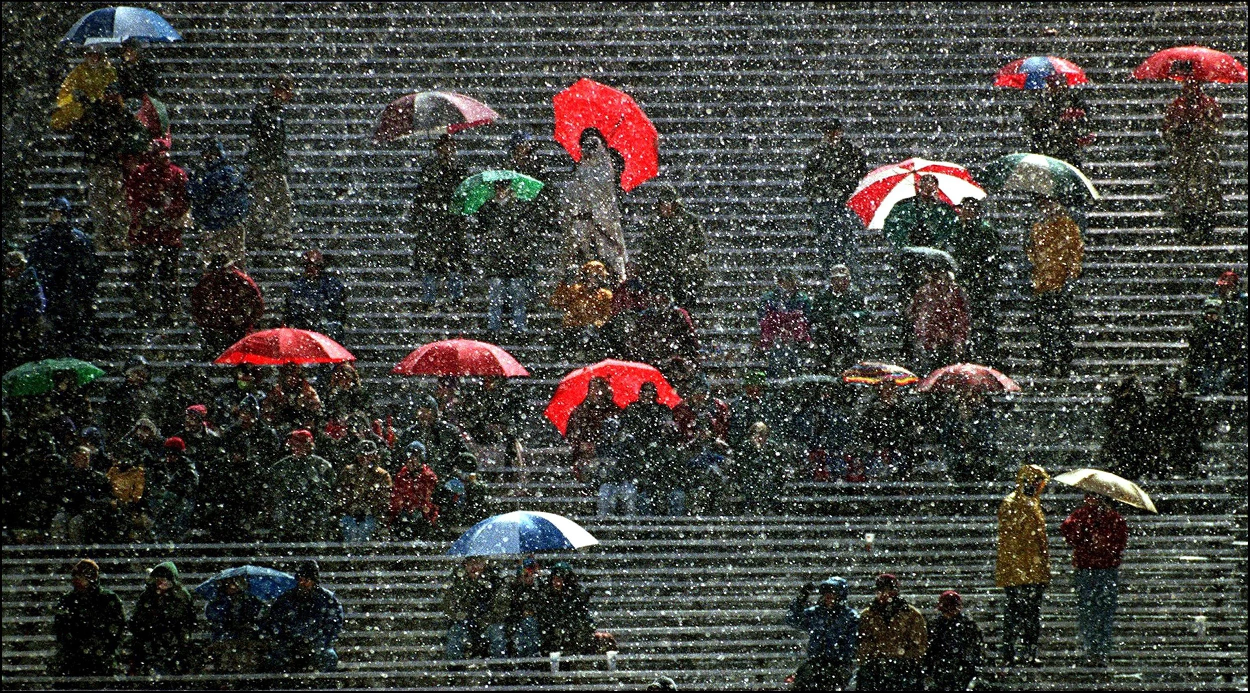 "Under the Lights" ©Thomas James Hurst/The Seattle Times