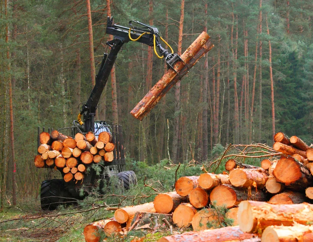 About — Wisconsin Sustainable Forestry Initiative® Implementation Committee