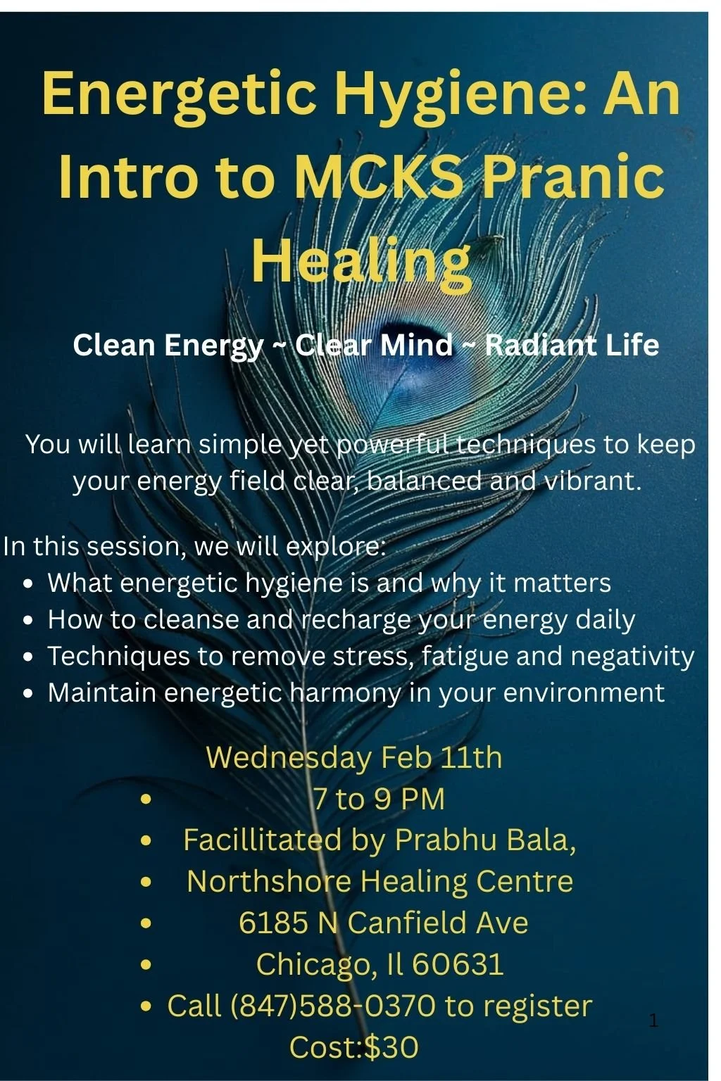 Energetic Hygiene: An Intro to MCKS Pranic Healing