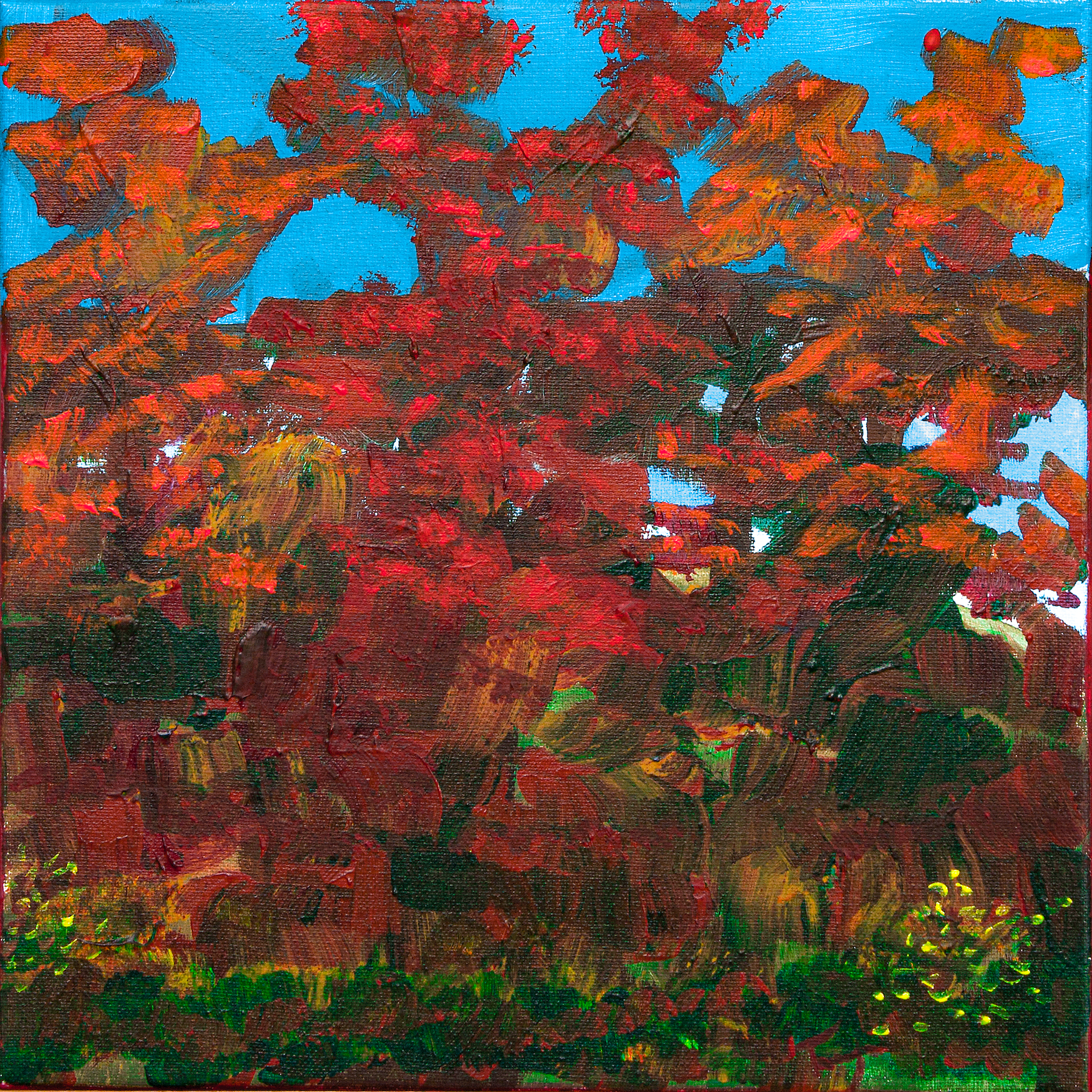 Red Autumn        12” x 12”