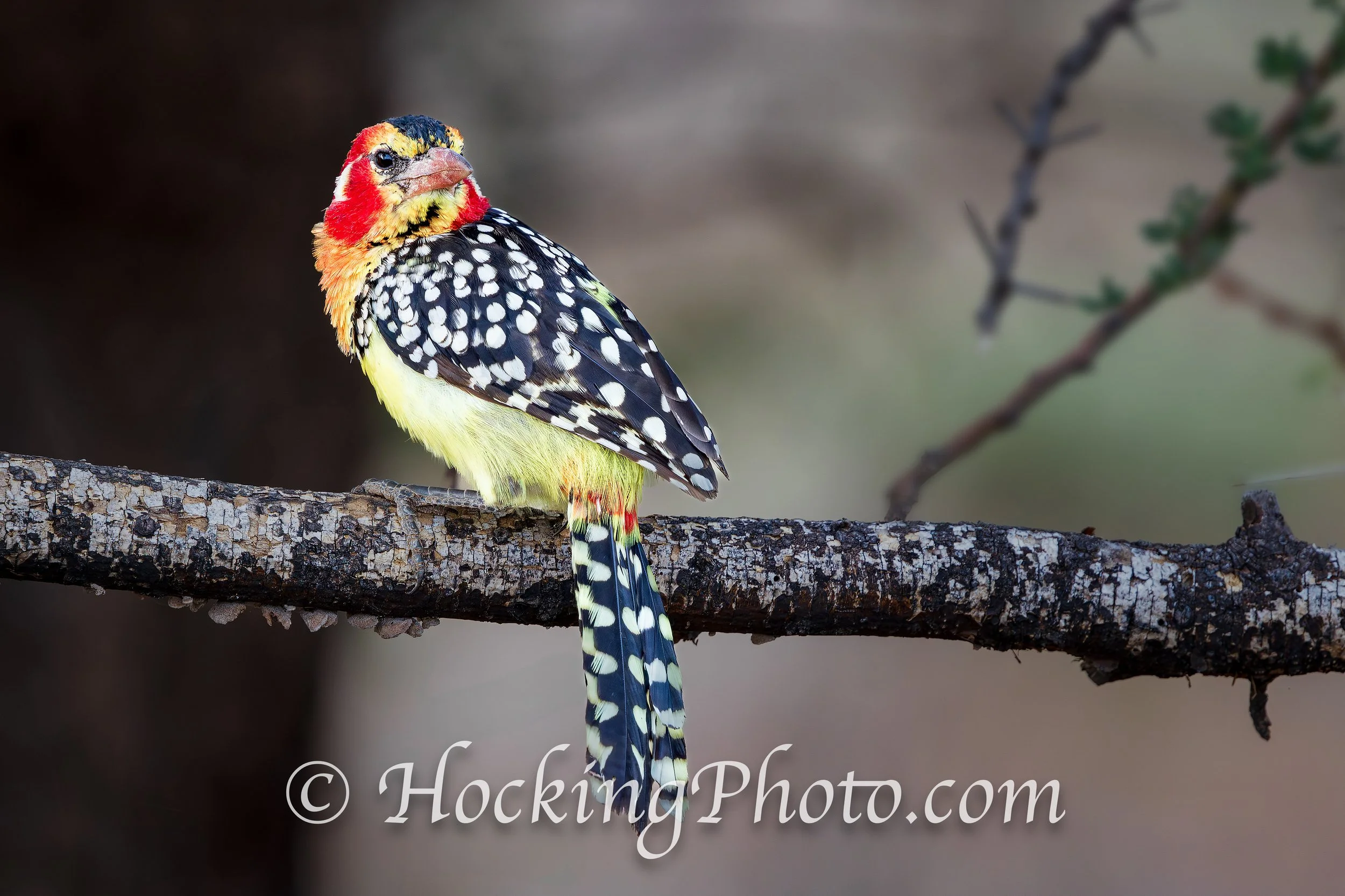 Photographers Orange County La Habra, CA, Orange County La Habra Photographers, Best Photographers Orange County La Habra, CA,
Top Photographers Orange County La Habra, CA