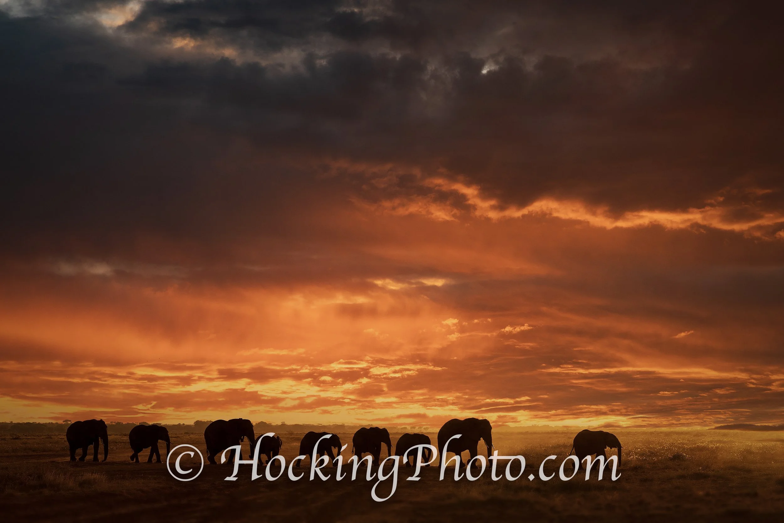 Photographers Orange County La Habra, CA, Orange County La Habra Photographers, Best Photographers Orange County La Habra, CA,
Top Photographers Orange County La Habra, CA
