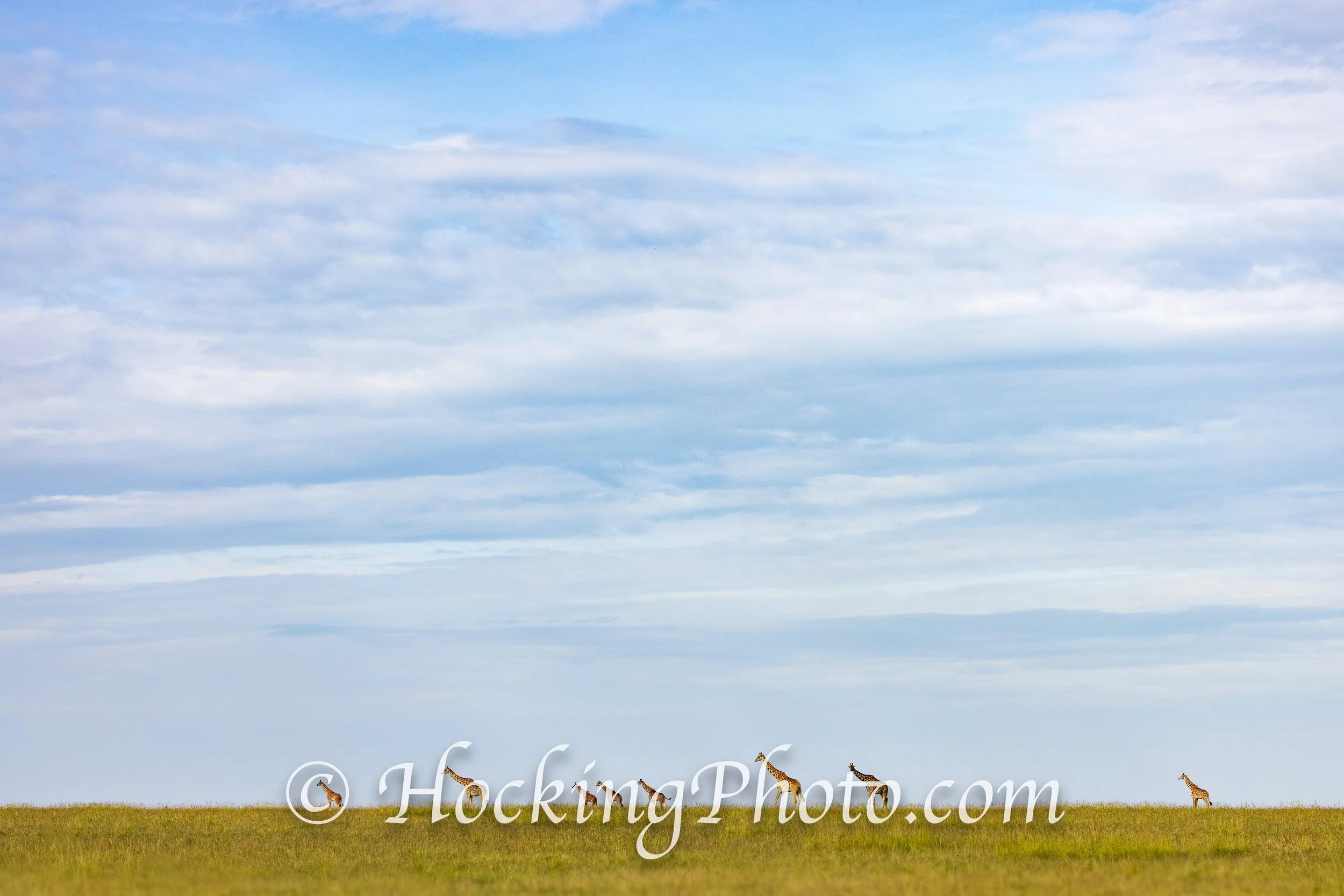Photographers Orange County La Habra, CA, Orange County La Habra Photographers, Best Photographers Orange County La Habra, CA,
Top Photographers Orange County La Habra, CA