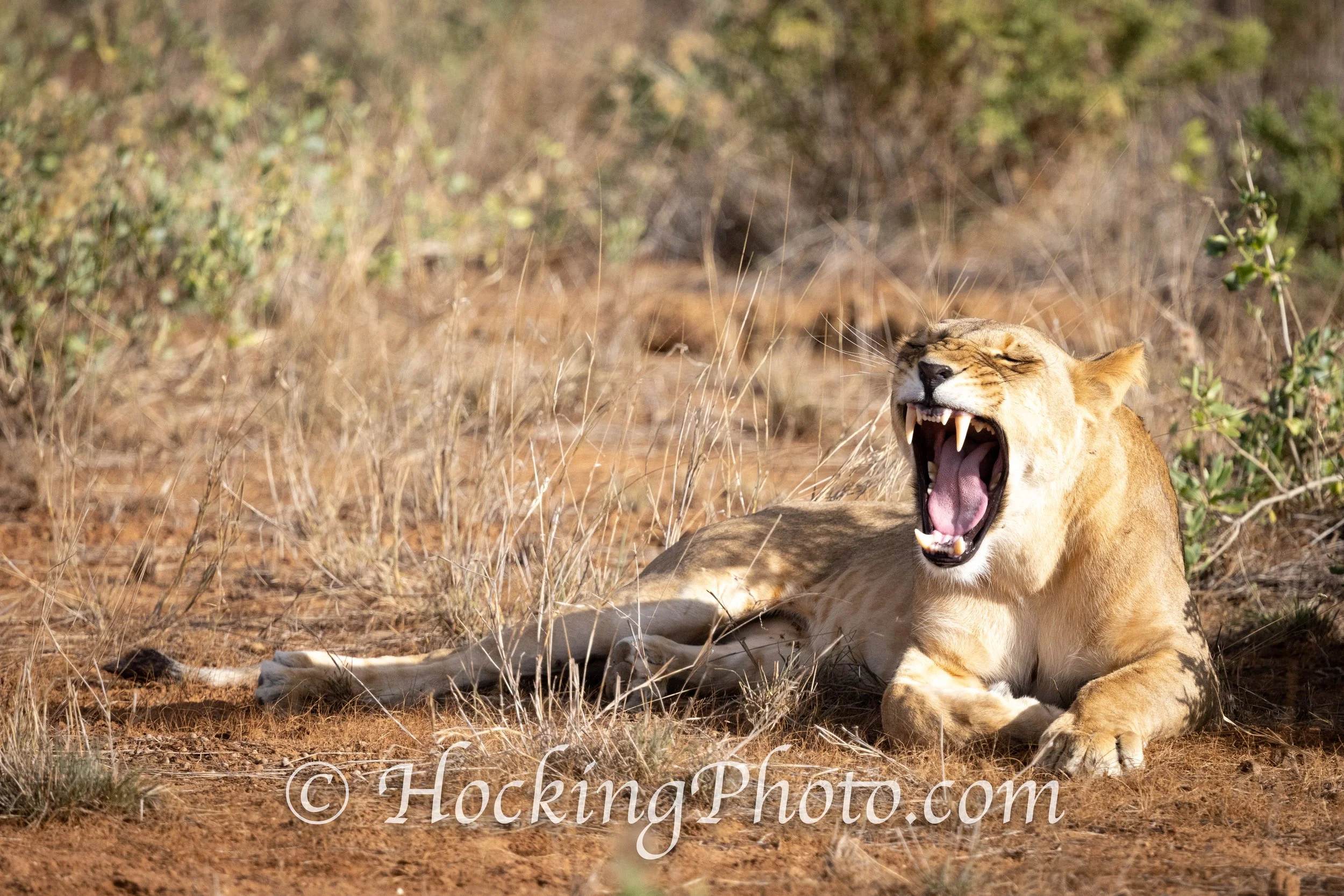 Photographers Orange County La Habra, CA, Orange County La Habra Photographers, Best Photographers Orange County La Habra, CA,
Top Photographers Orange County La Habra, CA