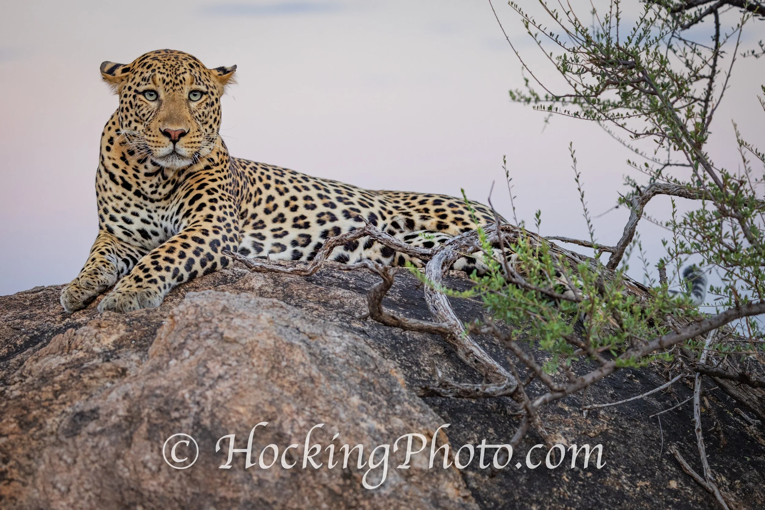 Photographers Orange County La Habra, CA, Orange County La Habra Photographers, Best Photographers Orange County La Habra, CA,
Top Photographers Orange County La Habra, CA