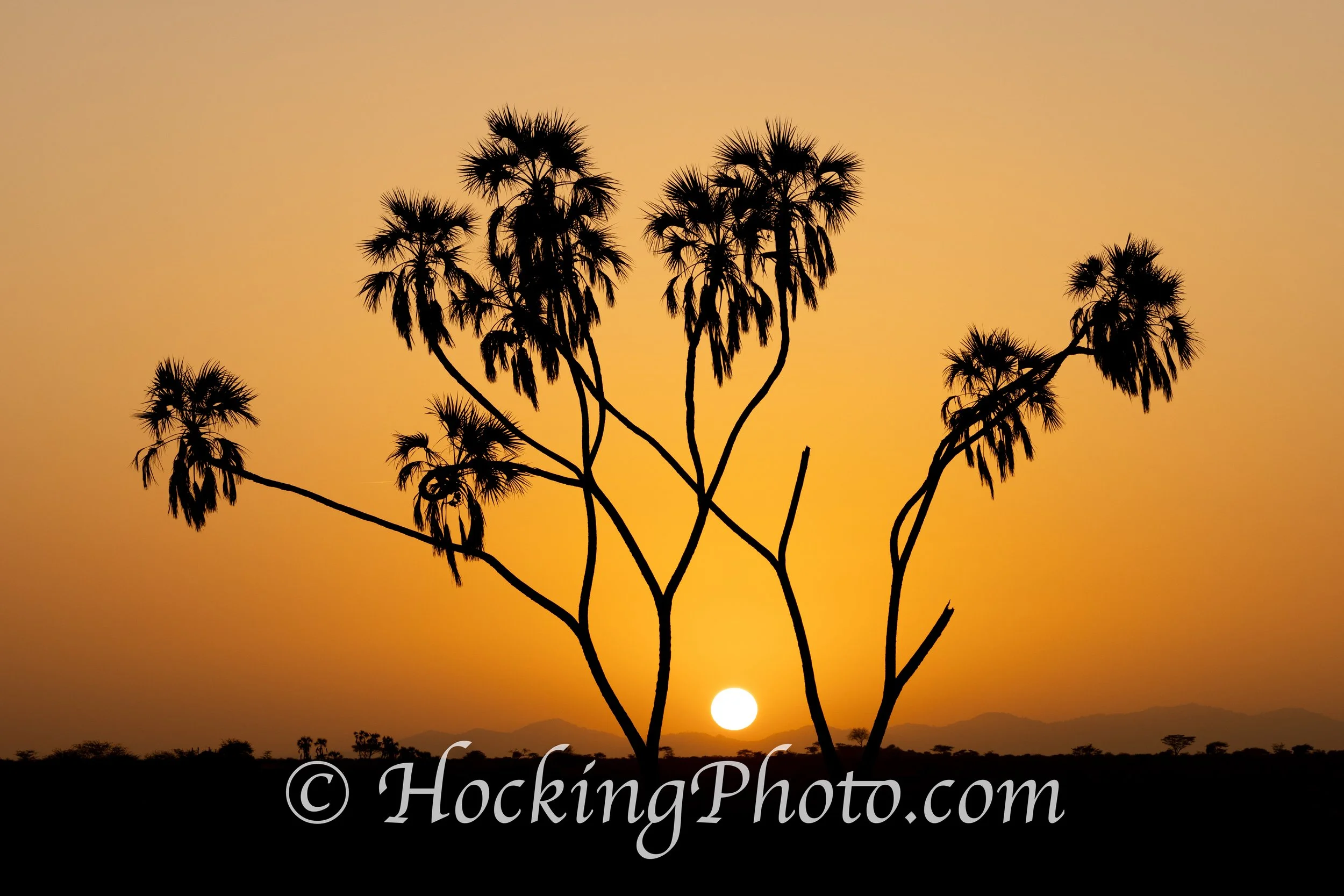 Photographers Orange County La Habra, CA, Orange County La Habra Photographers, Best Photographers Orange County La Habra, CA,
Top Photographers Orange County La Habra, CA