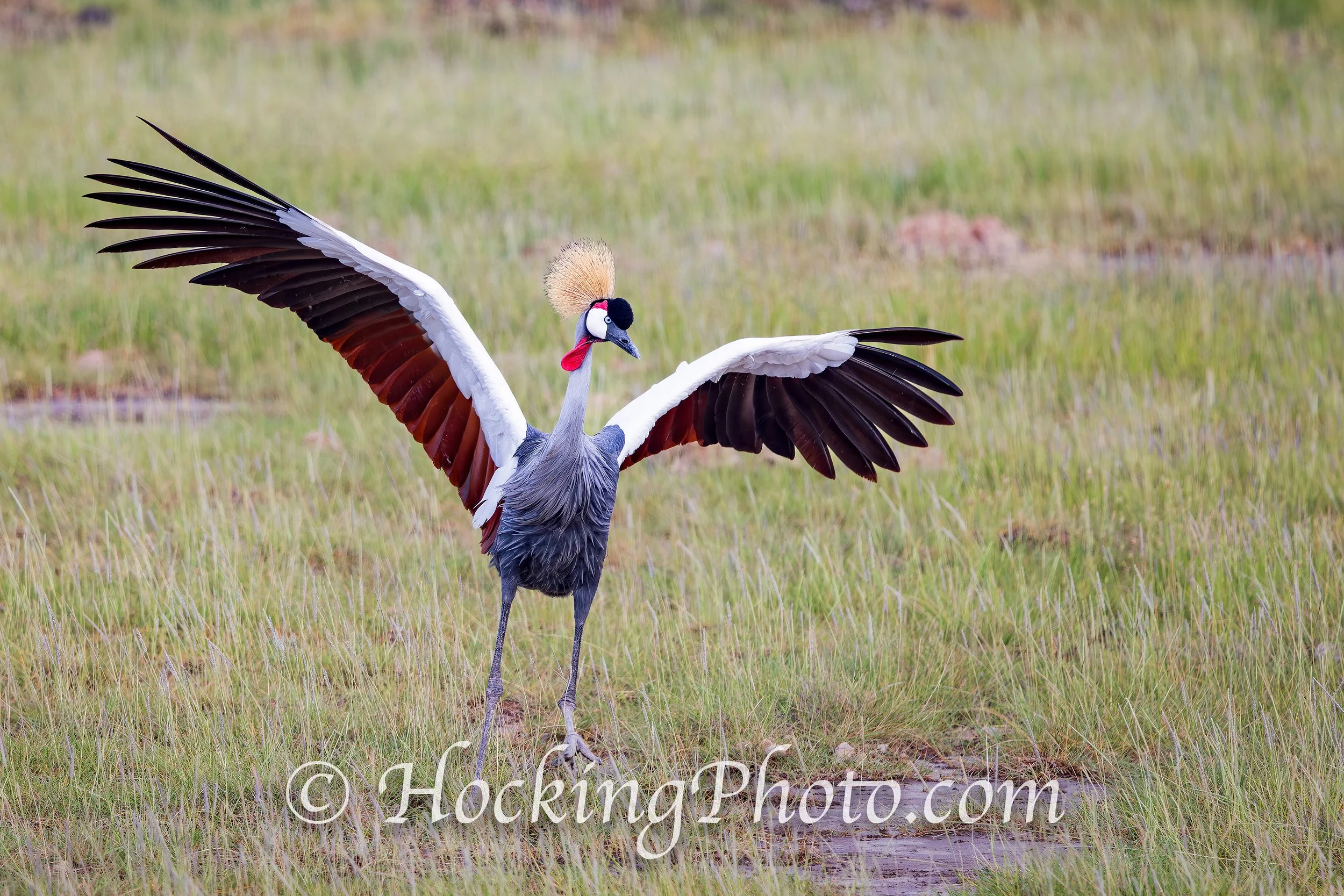 Photographers Orange County La Habra, CA, Orange County La Habra Photographers, Best Photographers Orange County La Habra, CA,
Top Photographers Orange County La Habra, CA
