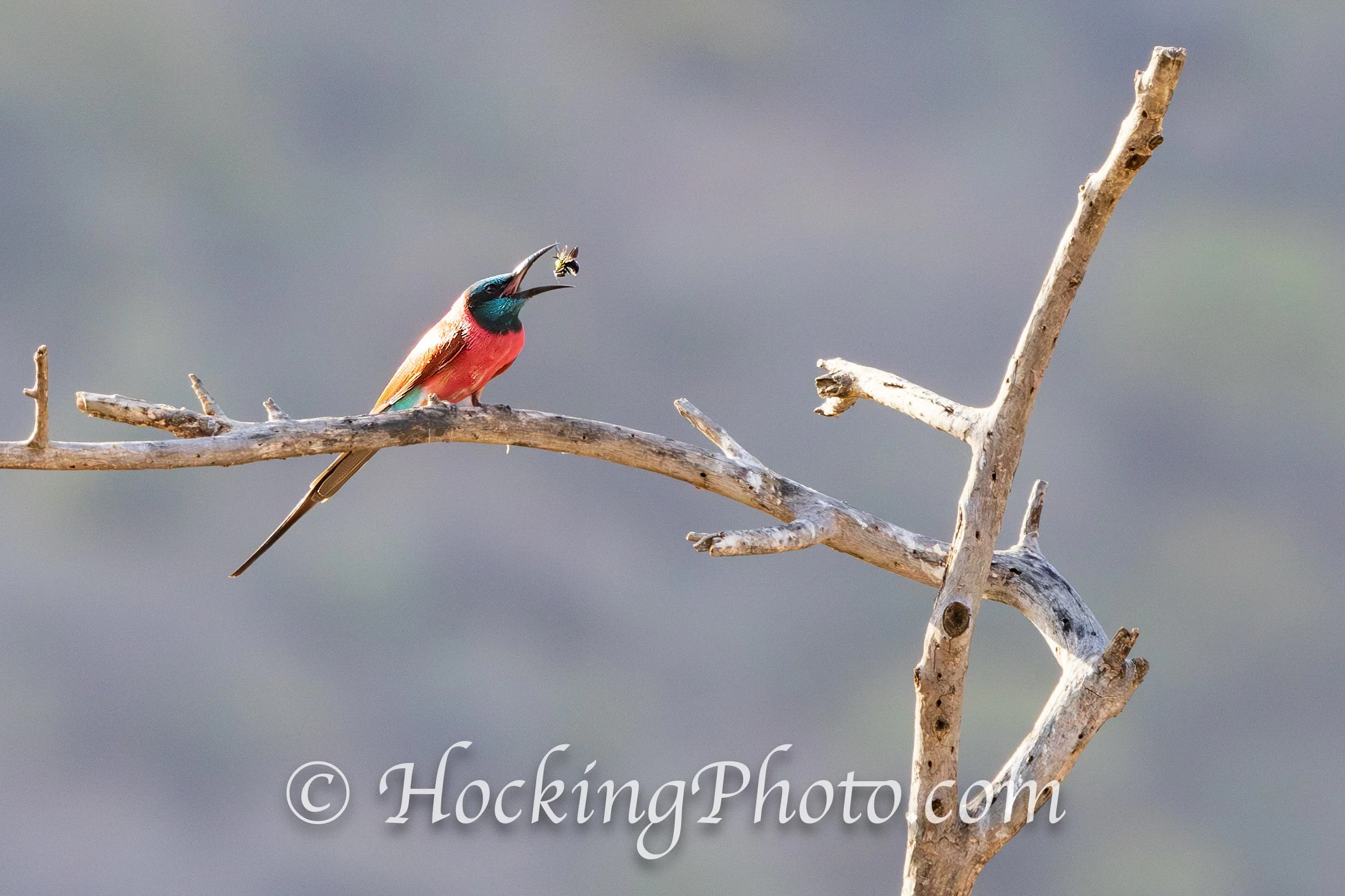 Photographers Orange County La Habra, CA, Orange County La Habra Photographers, Best Photographers Orange County La Habra, CA,
Top Photographers Orange County La Habra, CA