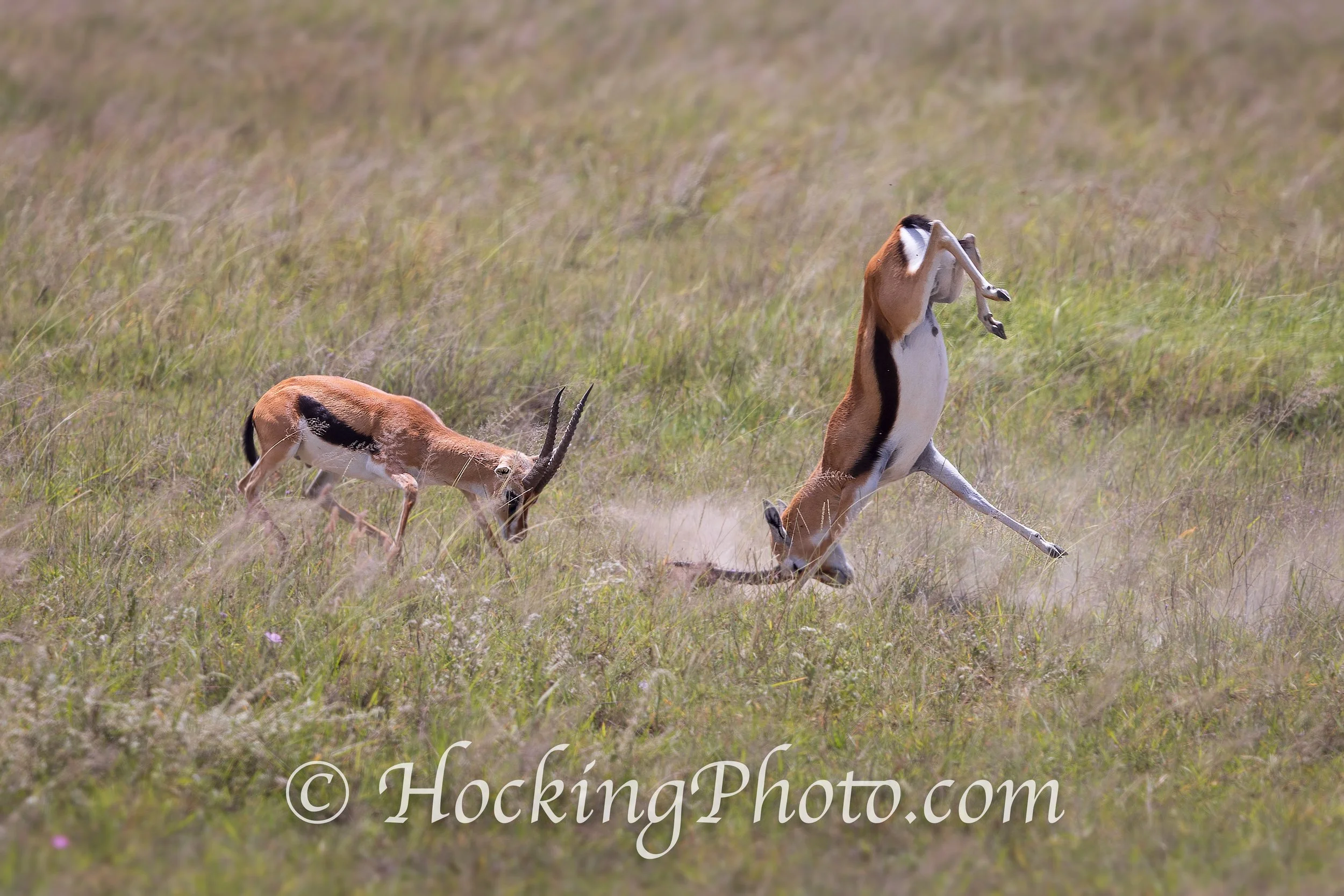 Photographers Orange County La Habra, CA, Orange County La Habra Photographers, Best Photographers Orange County La Habra, CA,
Top Photographers Orange County La Habra, CA