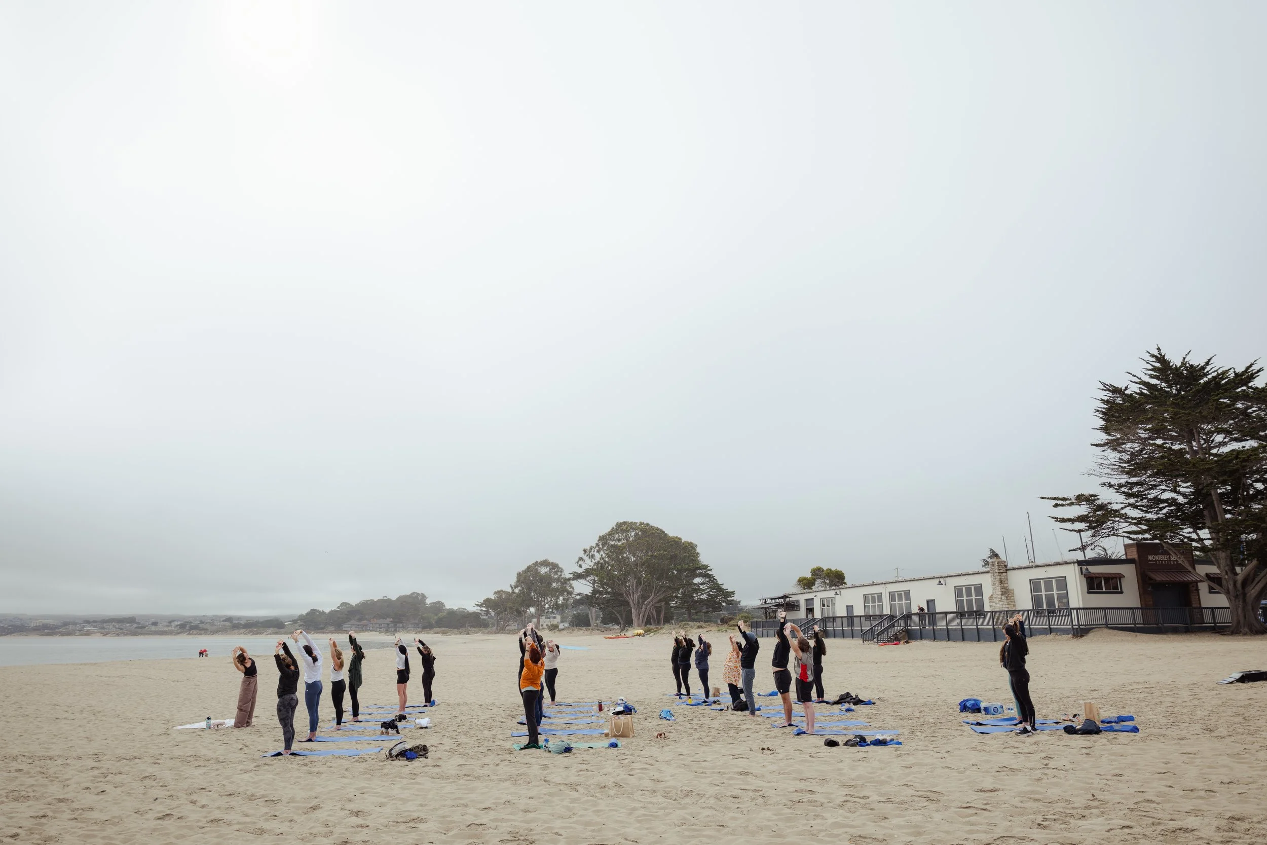 mSteelmanPhoto_OPS2025-017.jpg