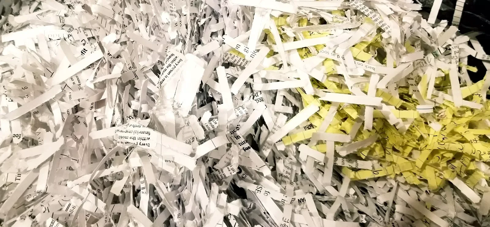 Document Shredding