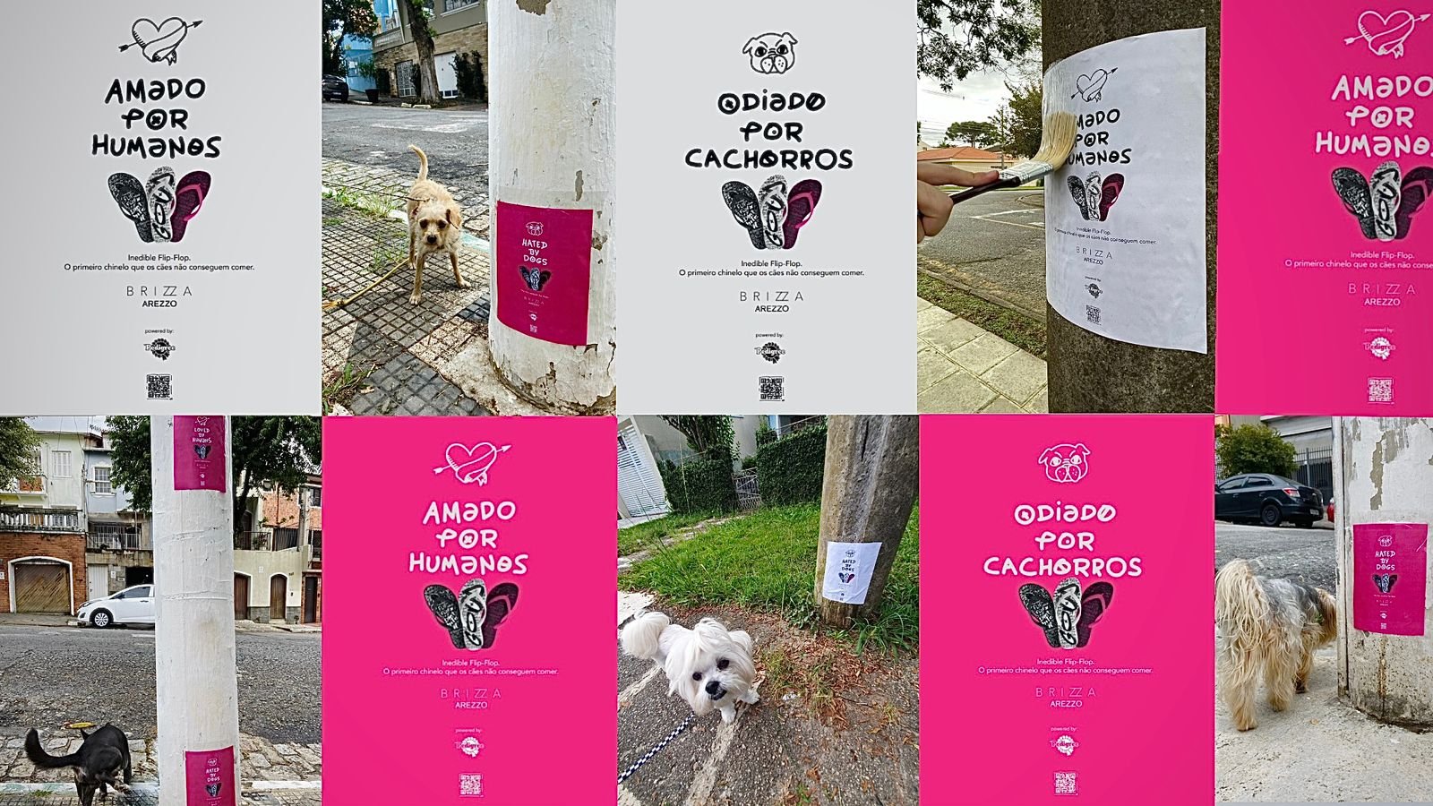 cachorrada.jpeg