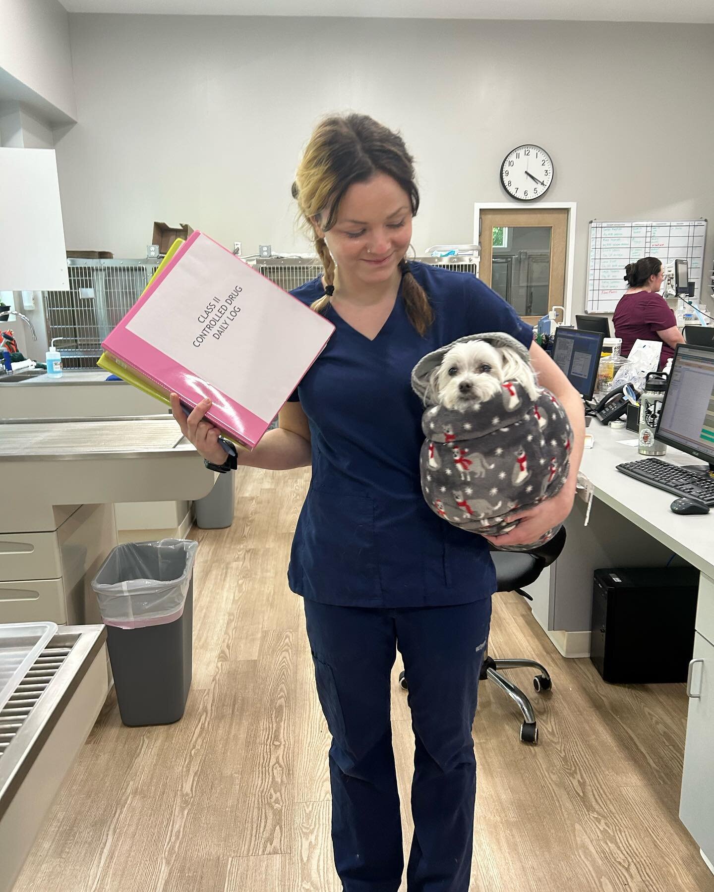 Sweetest Olivia got all the tender loving care as she recovered from her short procedure and sedation.  We love them like you do! #hanovervets #acvs #maltese #lovewins #rva #rvapups #tlc