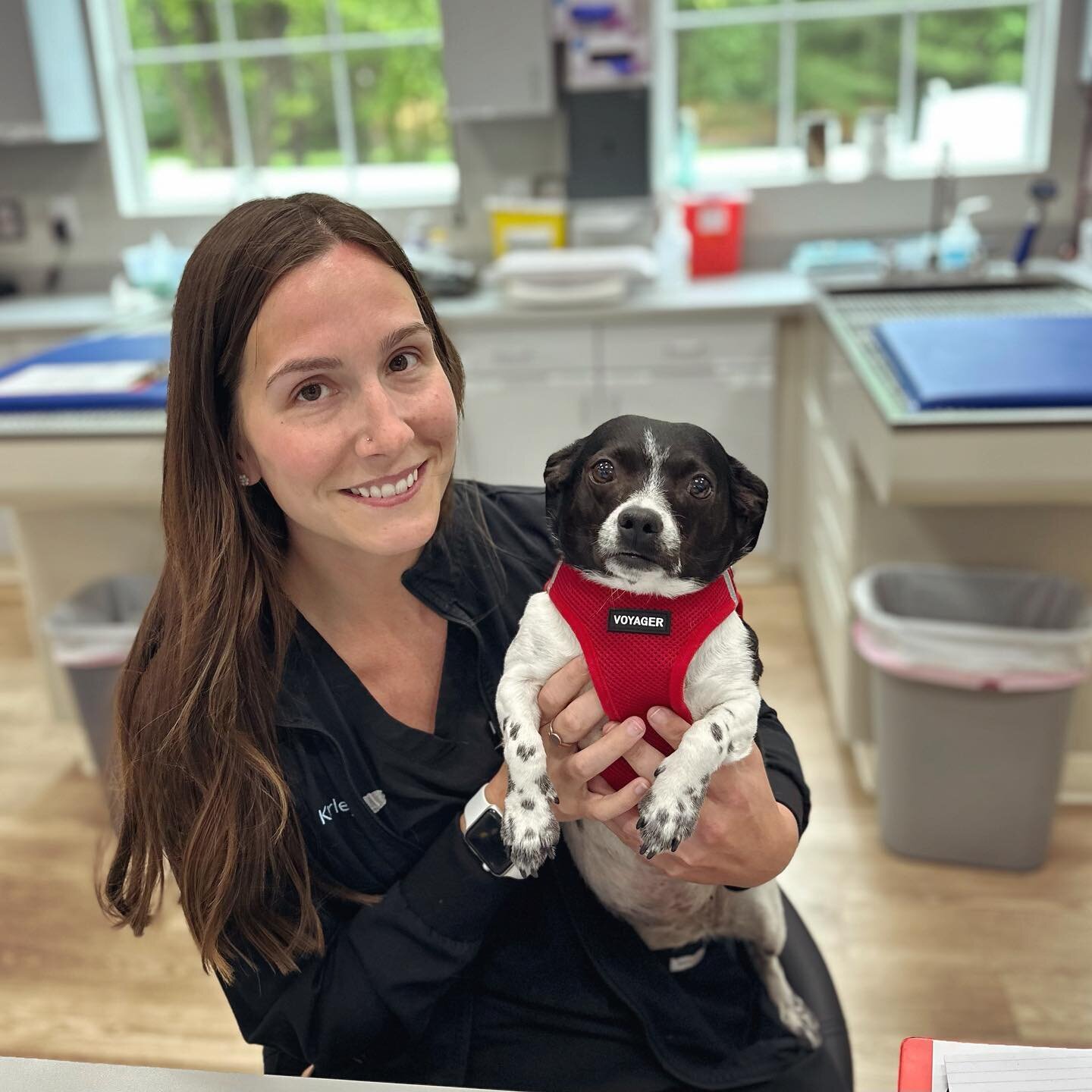 🤍 Karleigh &amp; Domino 🖤

Domino helped us welcome our newest member of our Internal Medicine team! Karleigh is a licensed veterinary technician working alongside Dr. Austin and Robyn, LVT! 🐾🩺🔬

#internalmedicine #licensedveterinarytechnician #