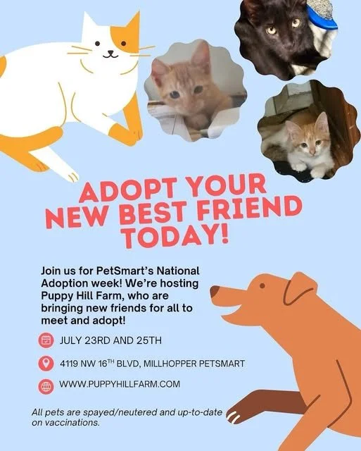 Specials at Millhopper PetSmart