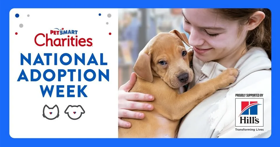 Adoption Specials July 21-25