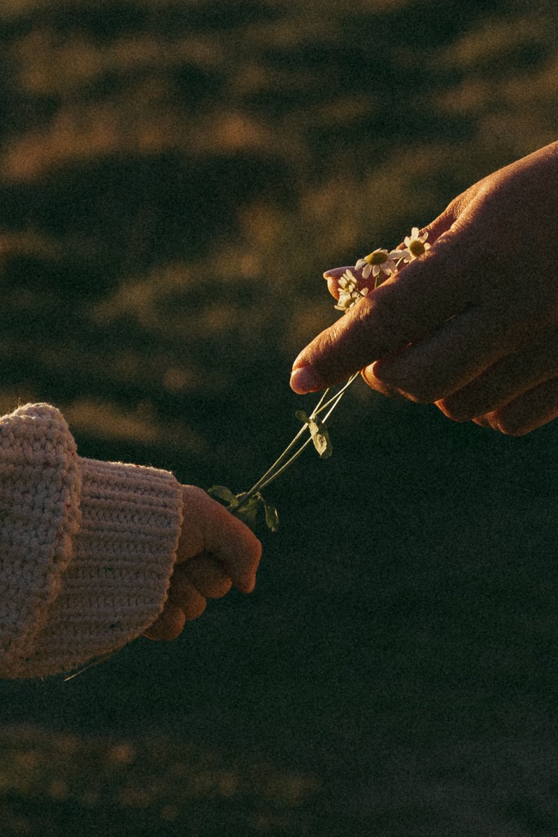 Pregnancy photoshoot outdoors-9.jpg