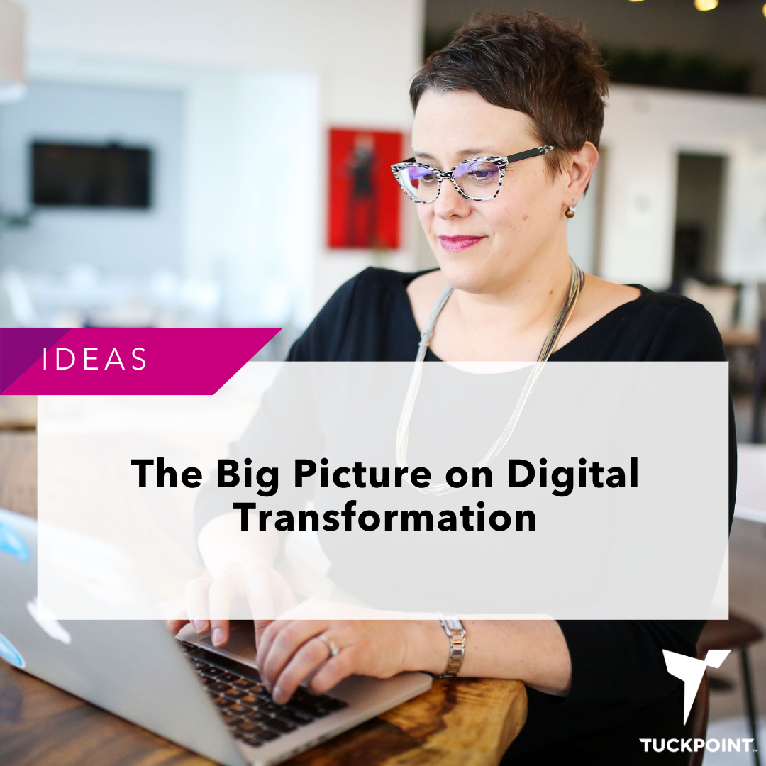 The Big Picture on Digital Transformation